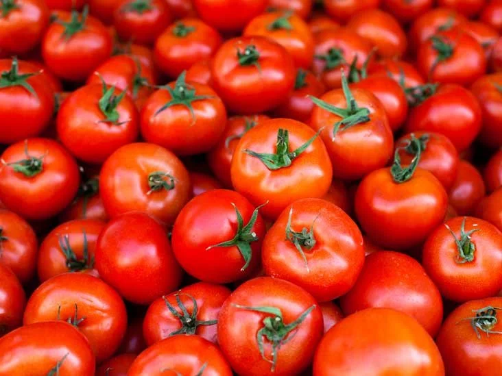 Tomatoes.jpg