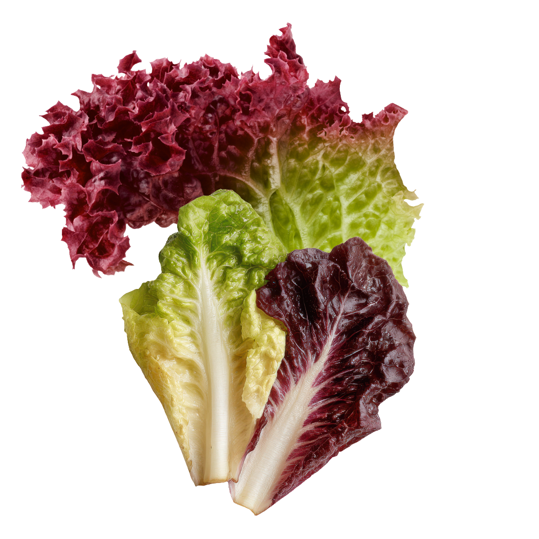 Premium Salad Reds