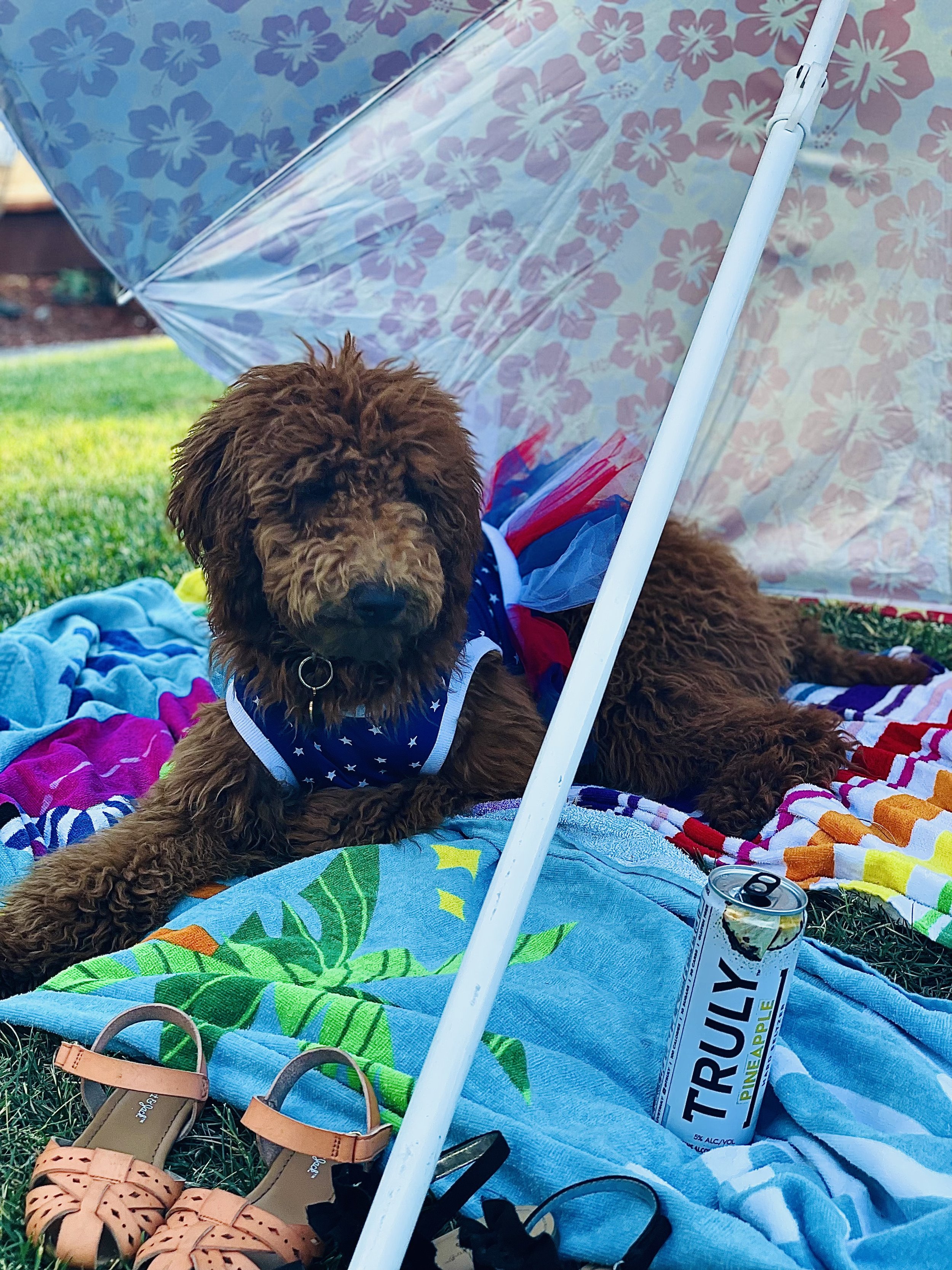 Gigi on 4th of July