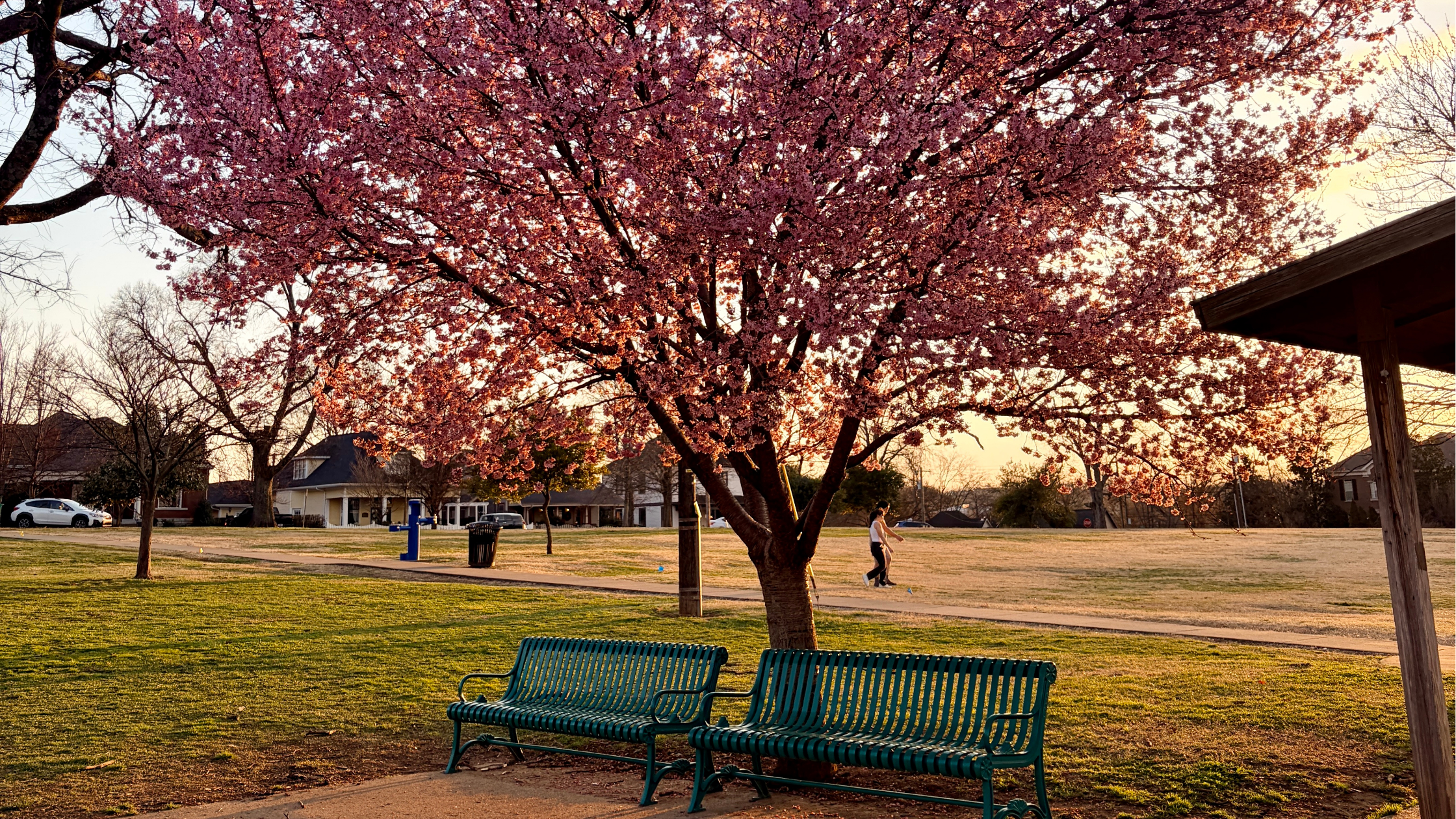 March in Nashville: Your Go-To Guide for Everything Happening This Month