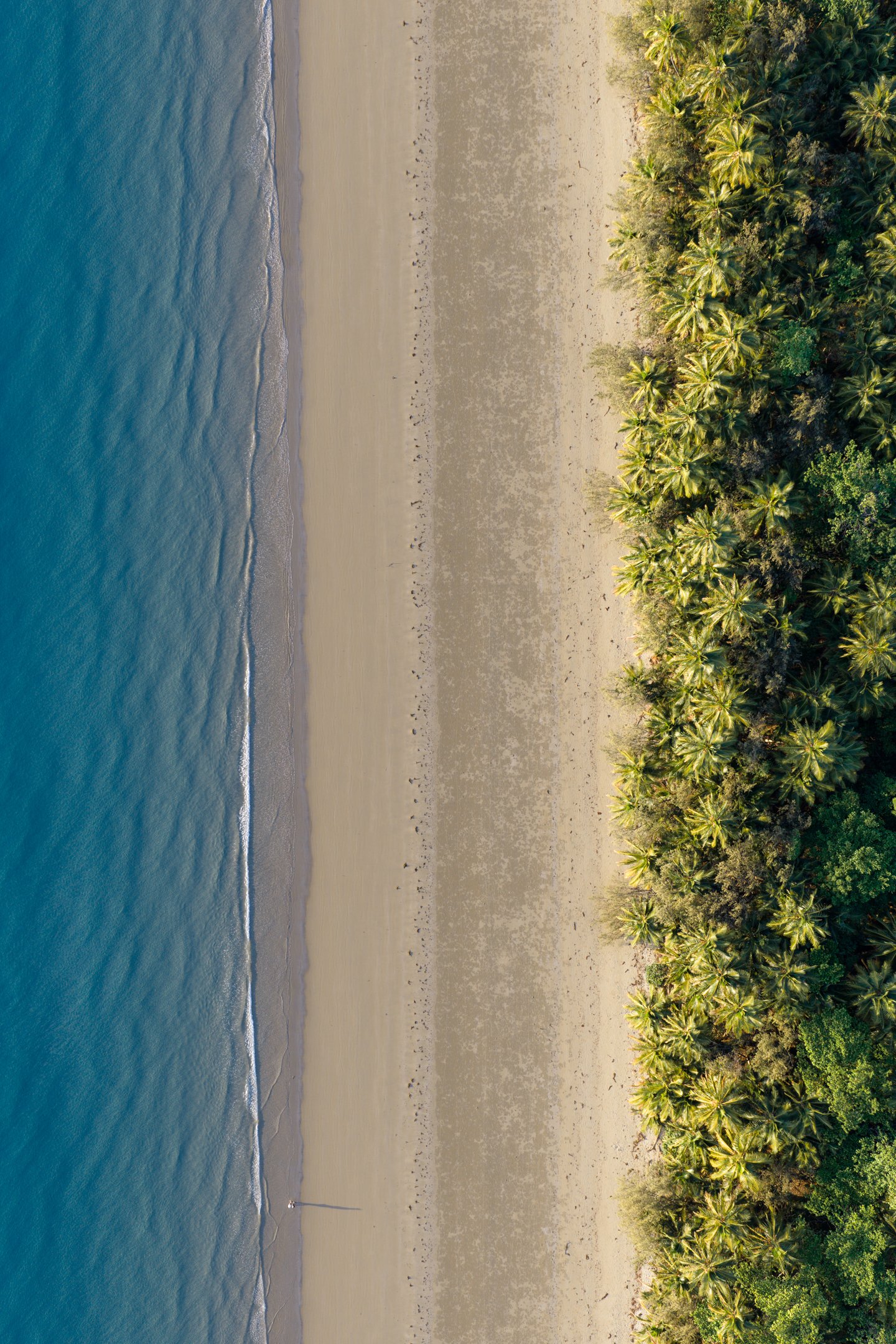 Sheraton Port Douglas x Earth With Tom.jpg