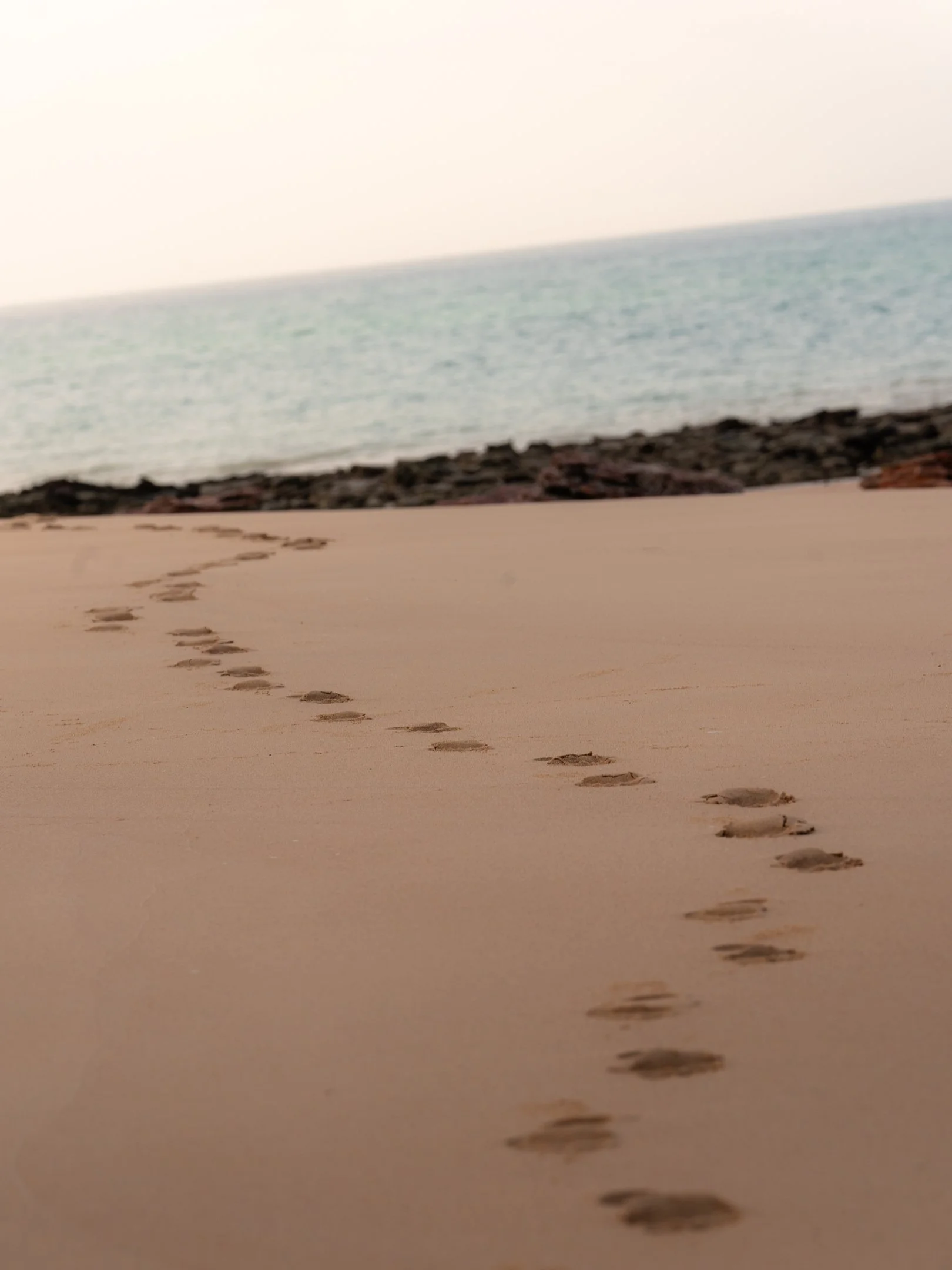Eco Beach - 4x3-7.jpg