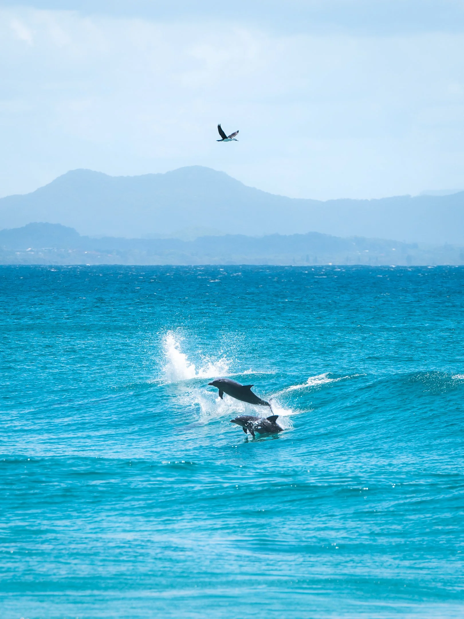 Byron Bay 4x3 - -1.jpg