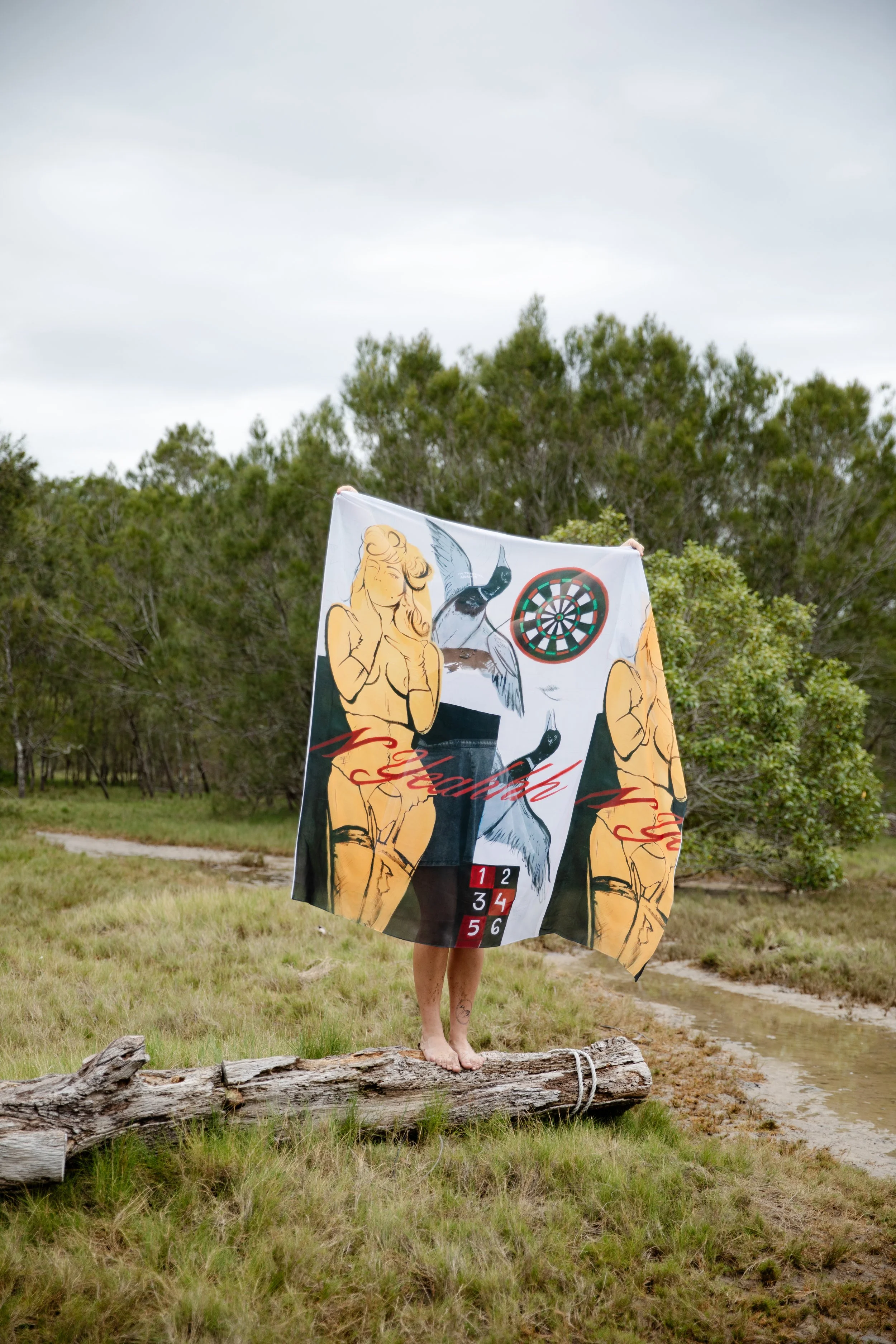 'Ducks & Darts' - Scarf