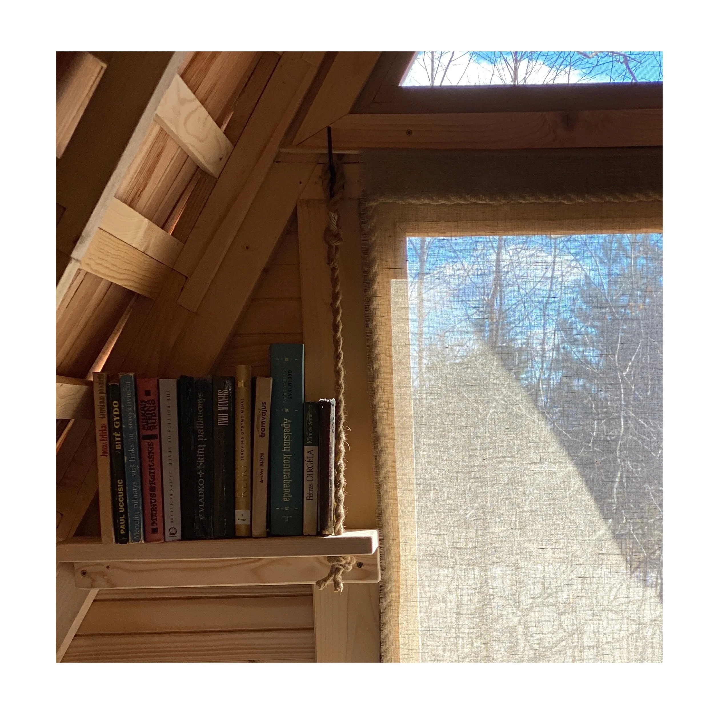 shelves2.jpg