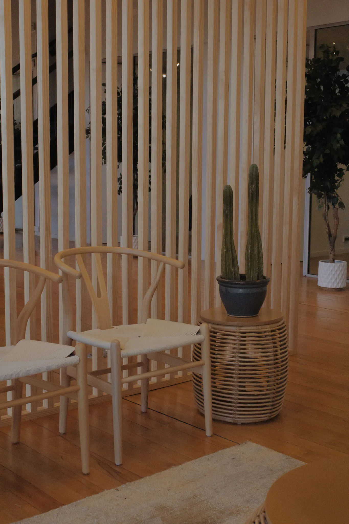 Sugar Tanning Bar Airbrush Spray Tans Auckland