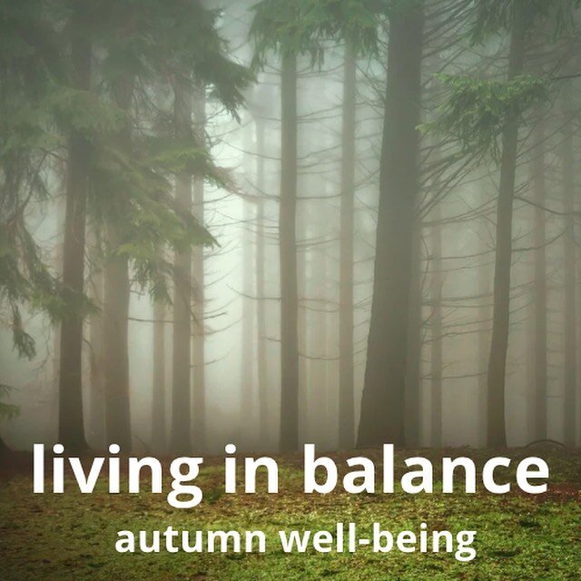 Autumn relates to a time of transition, where the energy of the environment begins to contract and move inwards. 
It&rsquo;s a time of dryness as the weather becomes cooler and the humidity decreases.  The dryness can affect the body&rsquo;s fluids, 