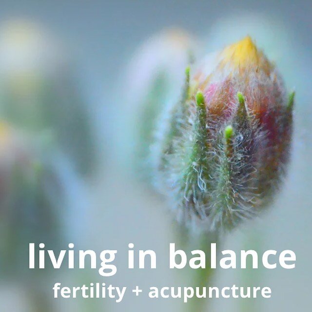 Fertility + Acupuncture
Acupuncture can assist you both physically and emotionally by -

balancing hormone levels, regulating menstrual cycles and improving ovulation, increasing the chances of fertility &ldquo;effects of acupuncture on pregnancy rat