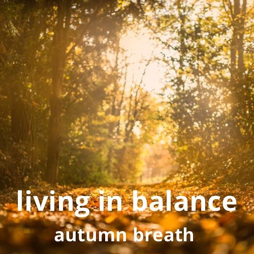 Autumn is the breath between the yang of summer and the yin of winter.

It is the pause, the inward turn, the quiet golden light.

In Chinese medicine this is not decay, it is refinement. A season to distill, to choose and to prepare.

What are you h