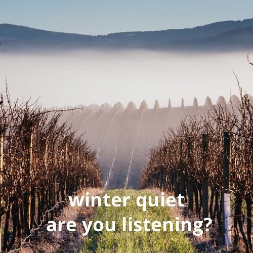 This season invites us to replenish.  Our Kidney, our deep reserves, flourish in stillness.. warmth and inner reflection.
Are you building quiet strength?
Is your daily rhythm nourishing your core, or depleting it further?
What would it mean to honou
