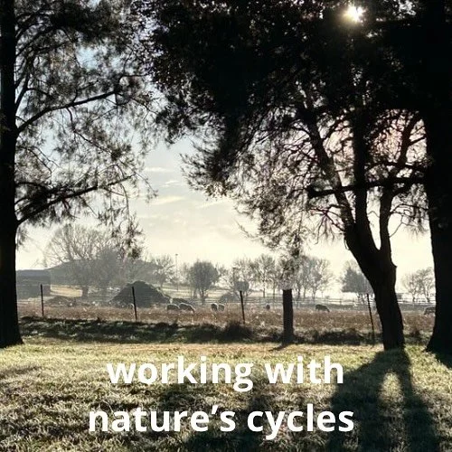 Supporting the body&rsquo;s innate drive for balance means more than quick fixes or surface care&hellip;.it is a steady, respectful practice&hellip; attuning to the seasons, honouring the signals of the body, and cultivating harmony from the inside o