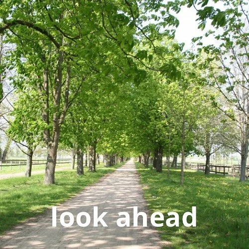 In Chinese medicine, the Liver nourishes the eyes and our vision. Spring invites us to look ahead with clarity, to set intentions that align with who we are becoming. Each step forward is part of the pathway and when we walk it with awareness, we hon
