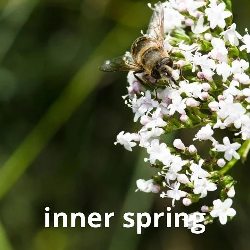 Growth doesn&rsquo;t have to be loud or dramatic. Even the smallest act of kindness toward yourself is a sign of balance  and your inner spring quietly awakening🌿. #acupuncture #moxibustion #livinginbalance #healthyfood #health #healthybody #wellbei