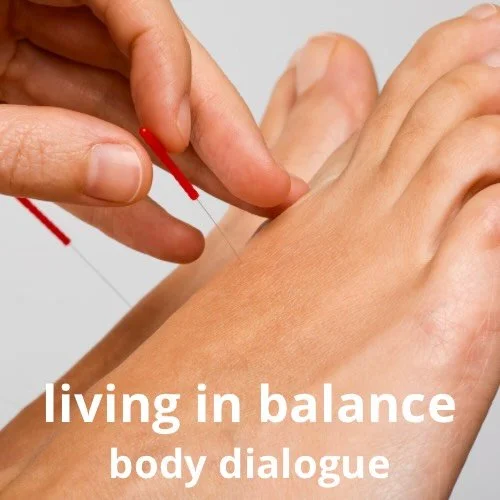 Clinical feedback, not guesswork&hellip;. palpation provides immediate information about tissue response and sensitivity.
Treatment adjusts according to what the body shows, not assumptions. #japaneseacupuncture  #acupuncture #health #sydney #wellnes