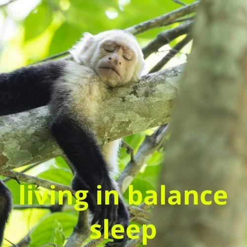 Sleep is not something we force, 
it is something the body allows.
When the nervous system remains alert, even in stillness, sleep becomes shallow or difficult to maintain.

In Chinese medicine, this may reflect a lack of anchoring, where the body is