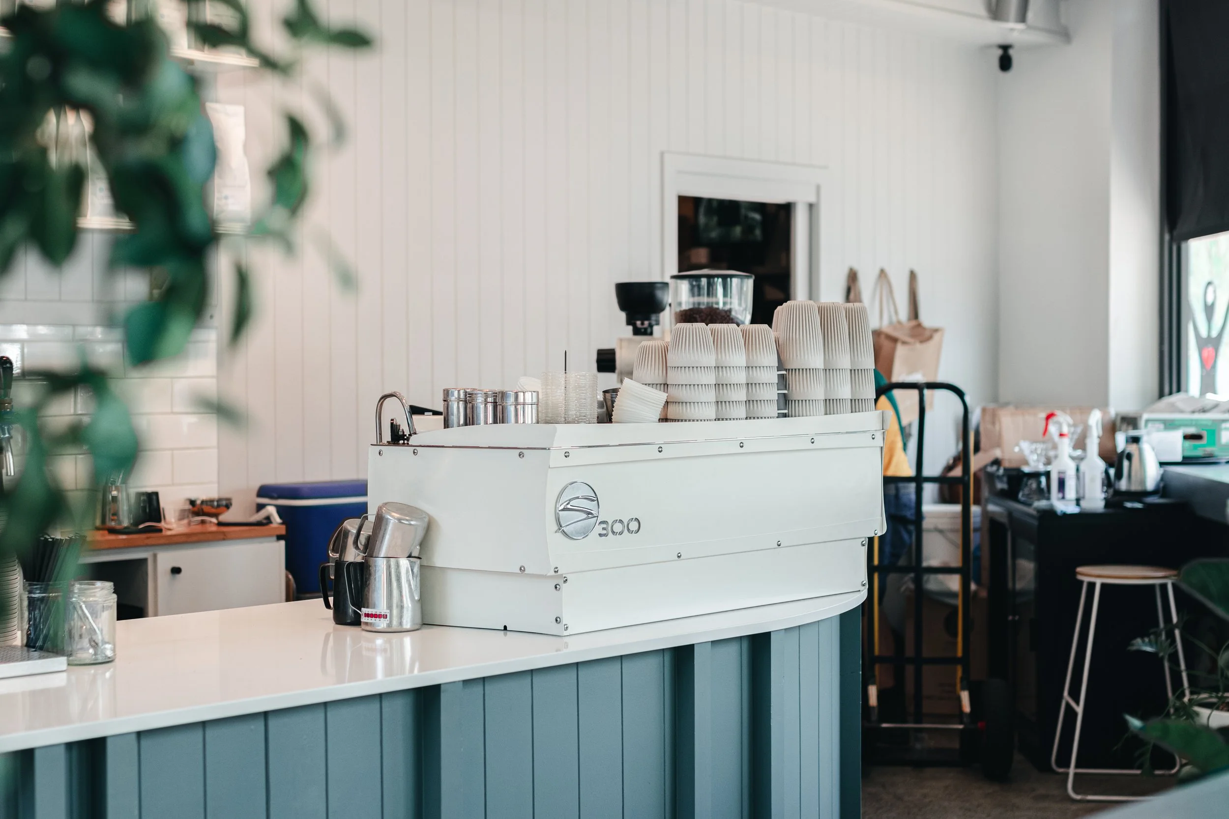 Cups Melb (4).jpg