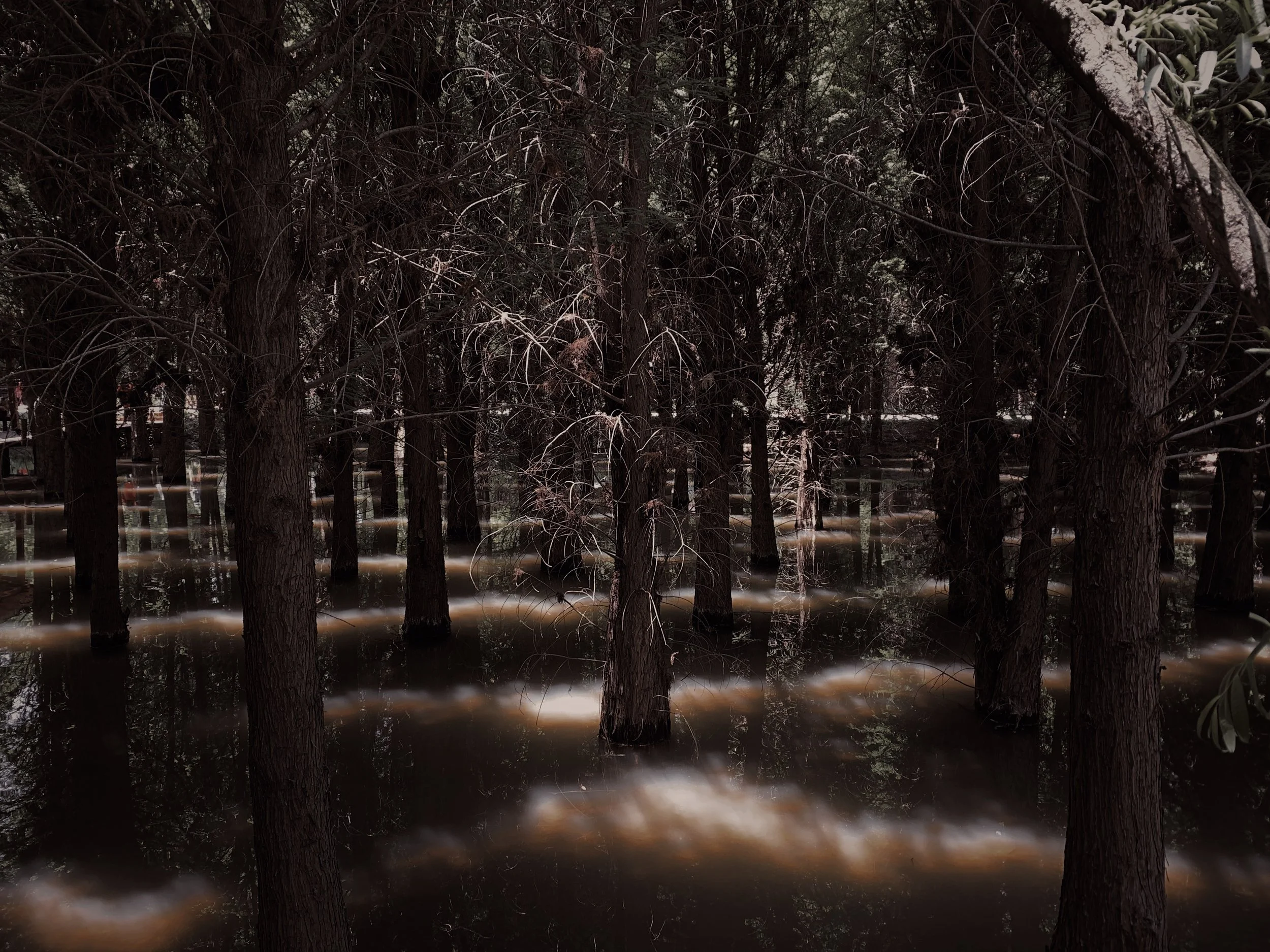 9DFB0773-3E0D-4988-A354-6CBB4454AAB3 copy.JPG