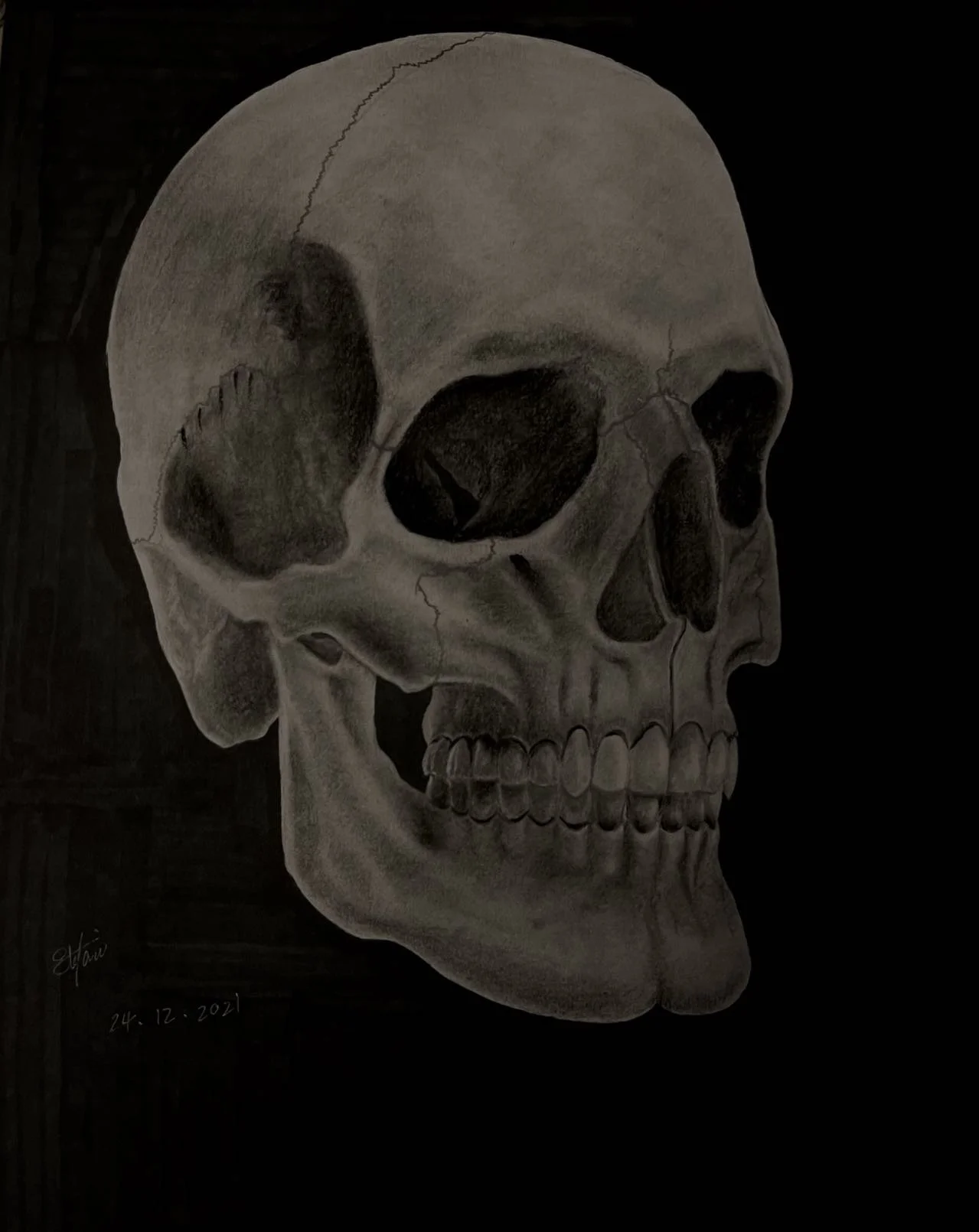 A realistic drawing of a human skull in grayscale, showing detailed shading and cracks.