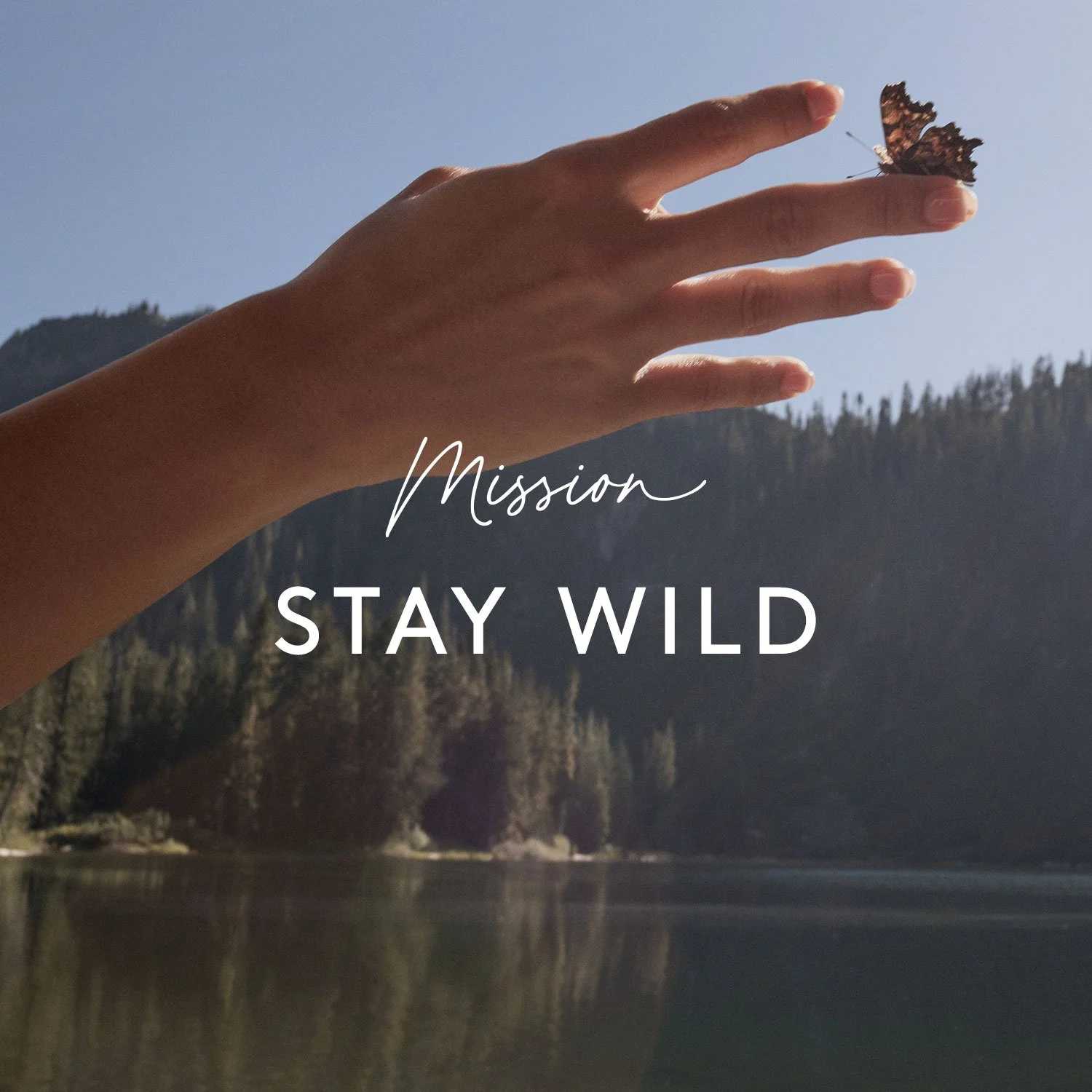 1H_Work_1500x1500_007 (2).jpg