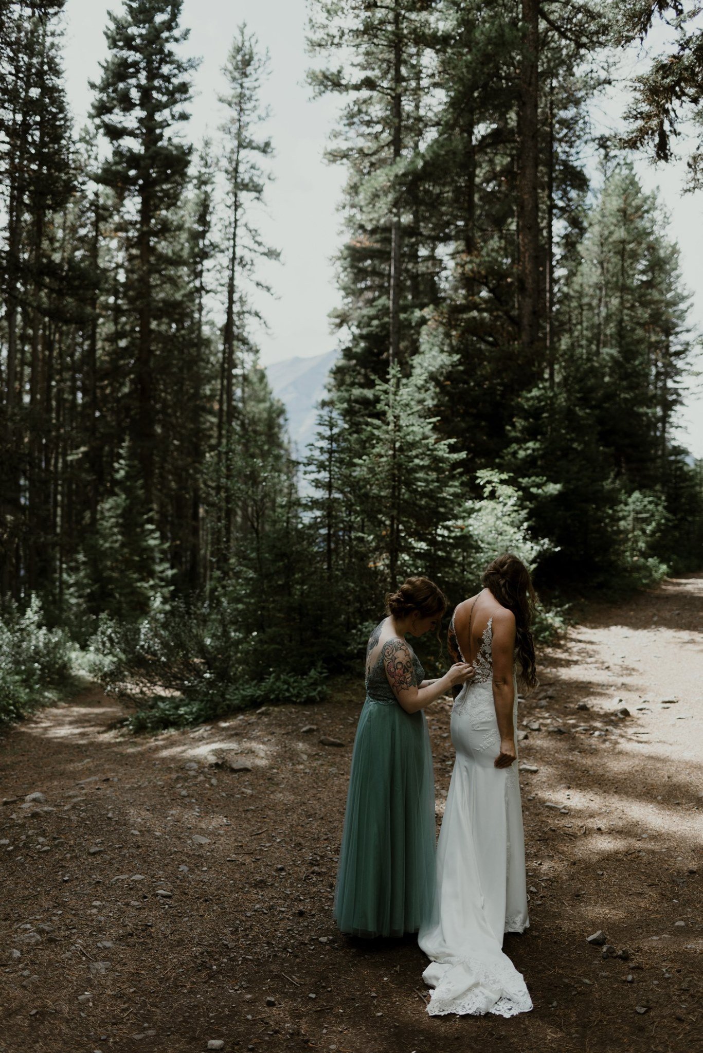 forest.jpeg