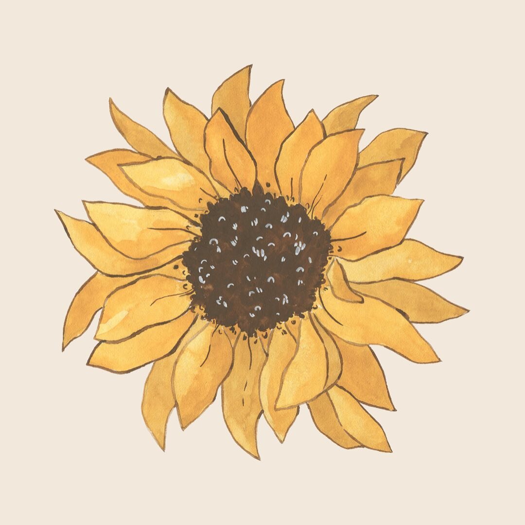 Sunflowers show us the beauty and importance of staying connected to all that nourishes and sustains us 🌻

Sunflowers know what&rsquo;s up 🌻

I&rsquo;ve been doing a thing recently. A thing I once believed my ginger haired, green eyed, ivory comple