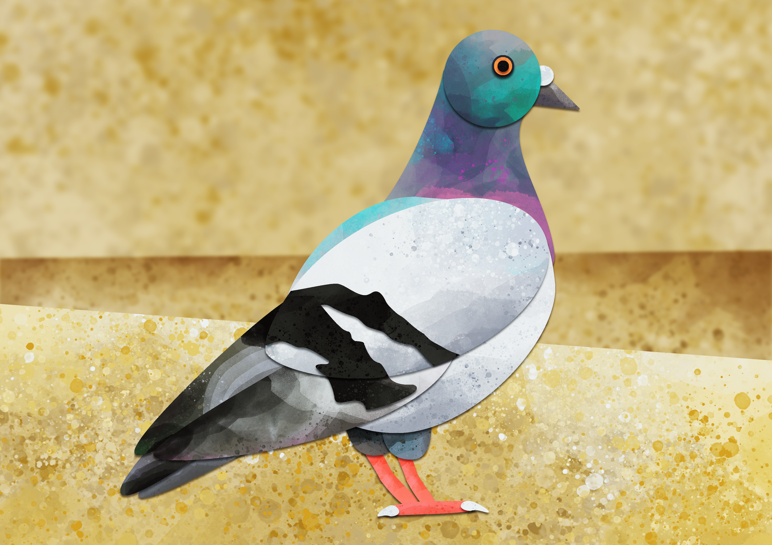 Pigeon.png