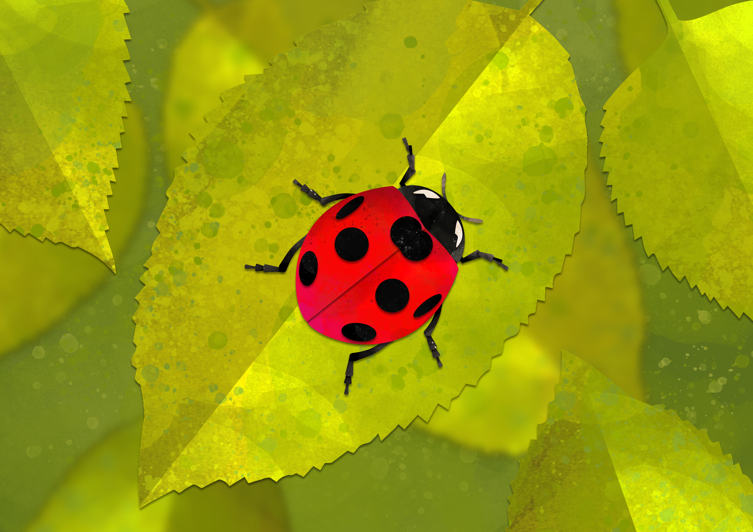 Lady bug.png