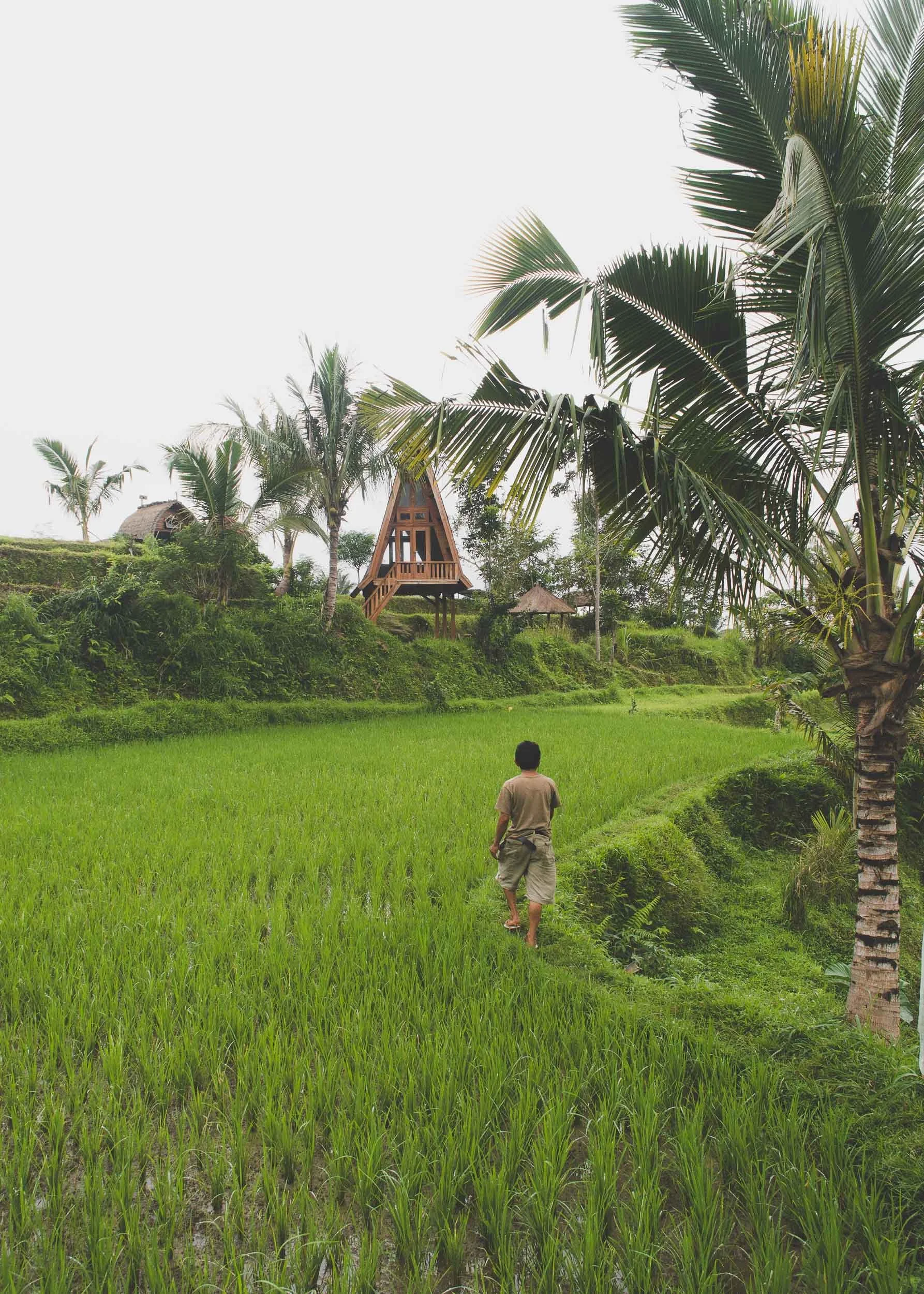 Tetebatu, Lombok, Indonesia