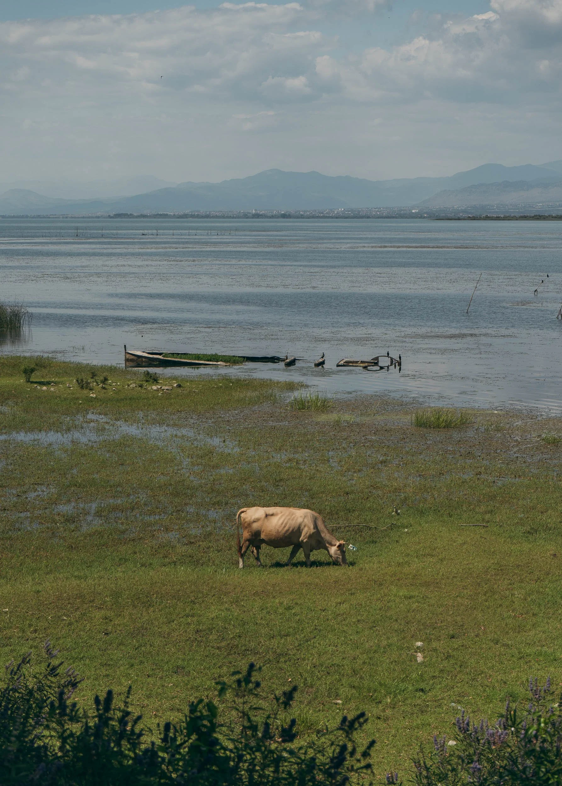 Lake Shkodër, Albania