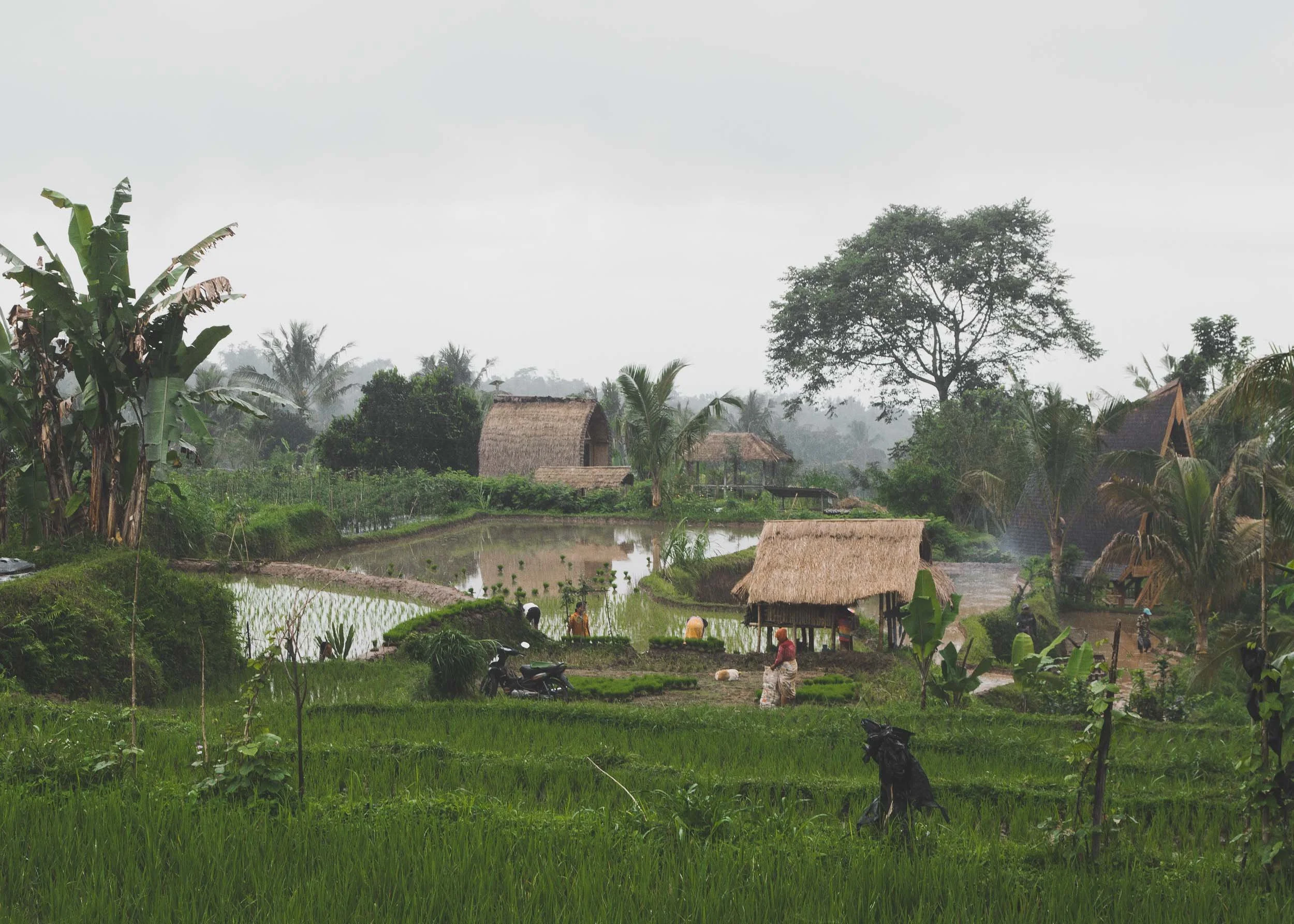 Tetebatu, Lombok, Indonesia
