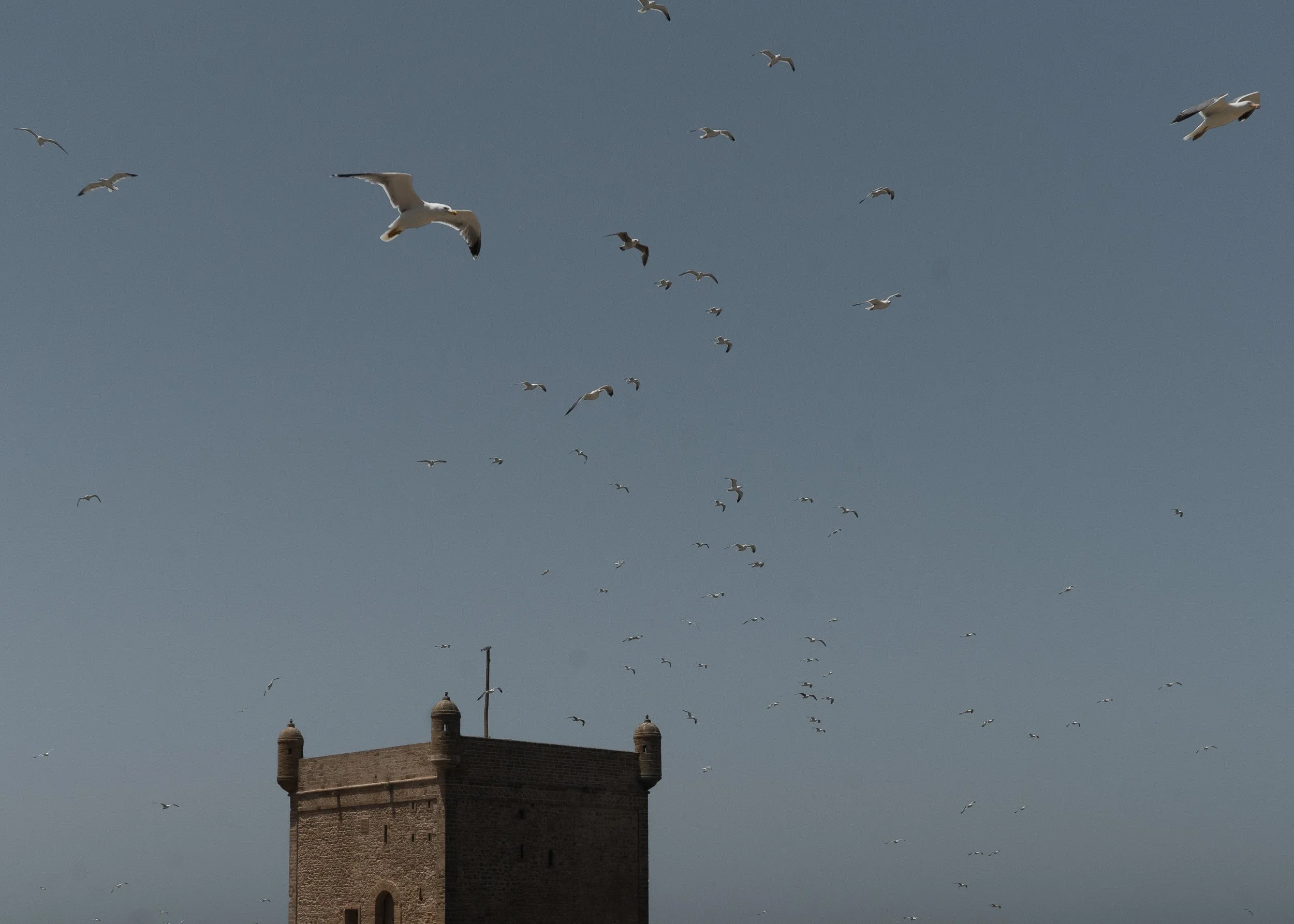 Essaouira, Morocco