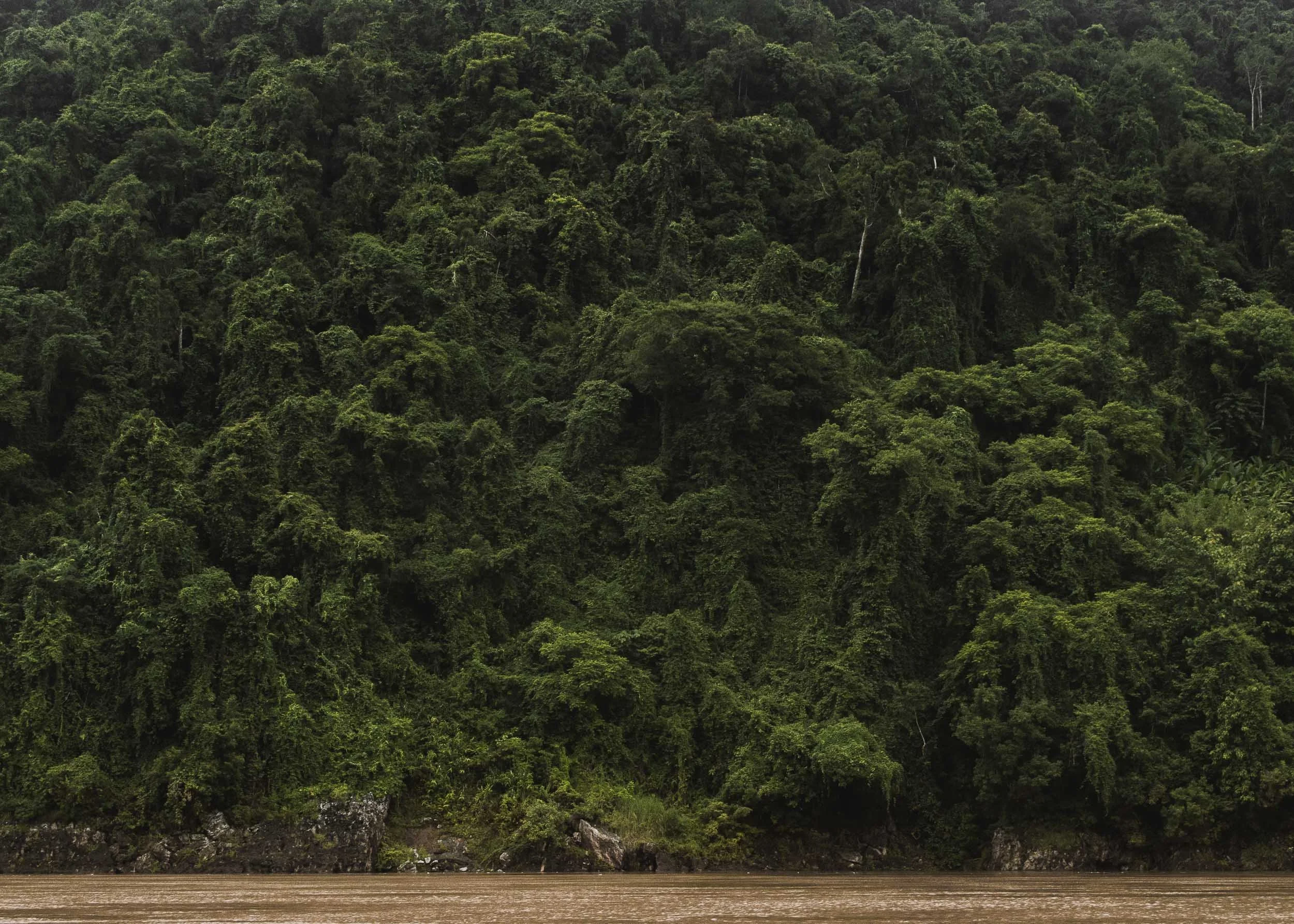 Along the Mekong River, Laos