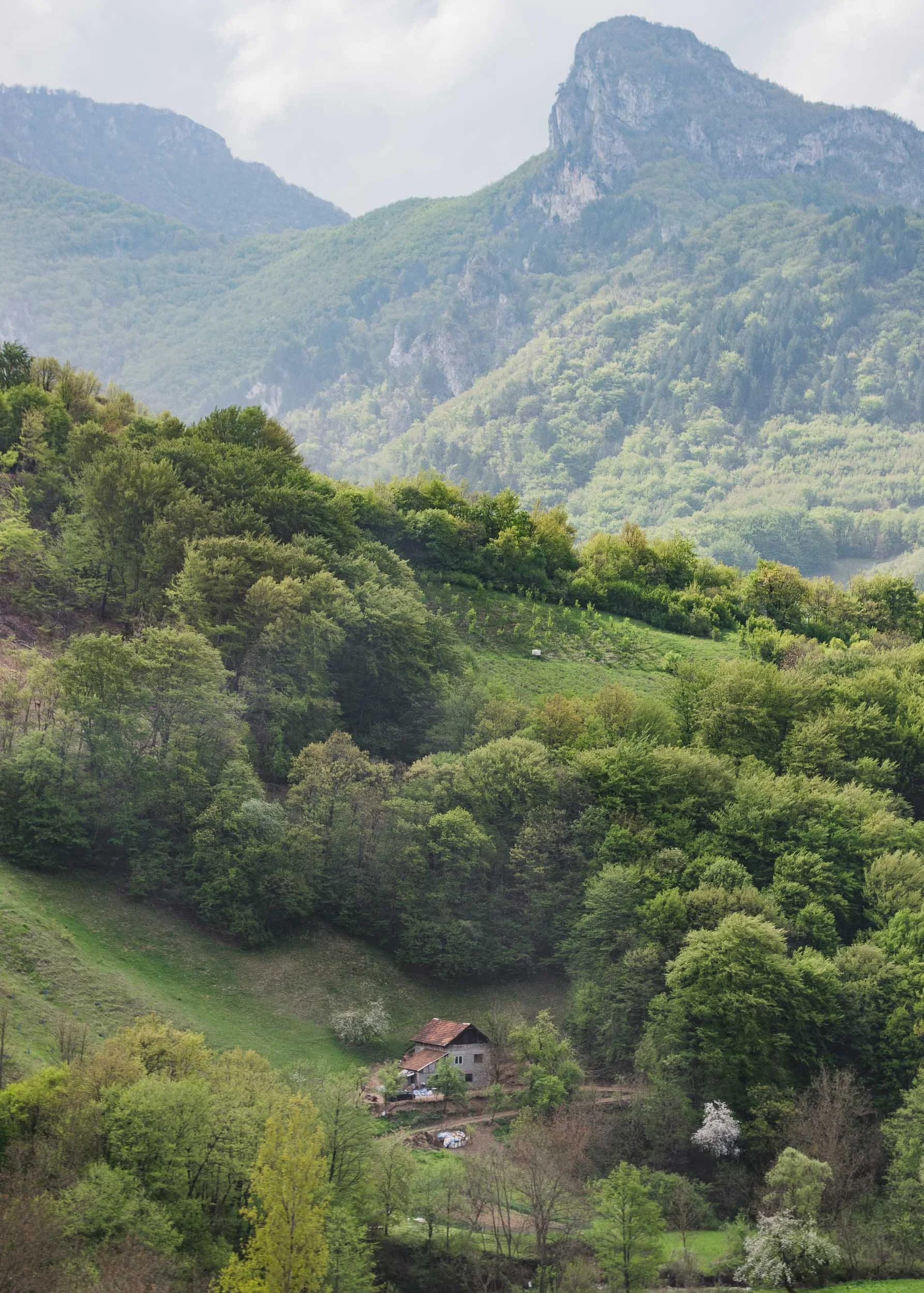 Bosnia & Herzegovina
