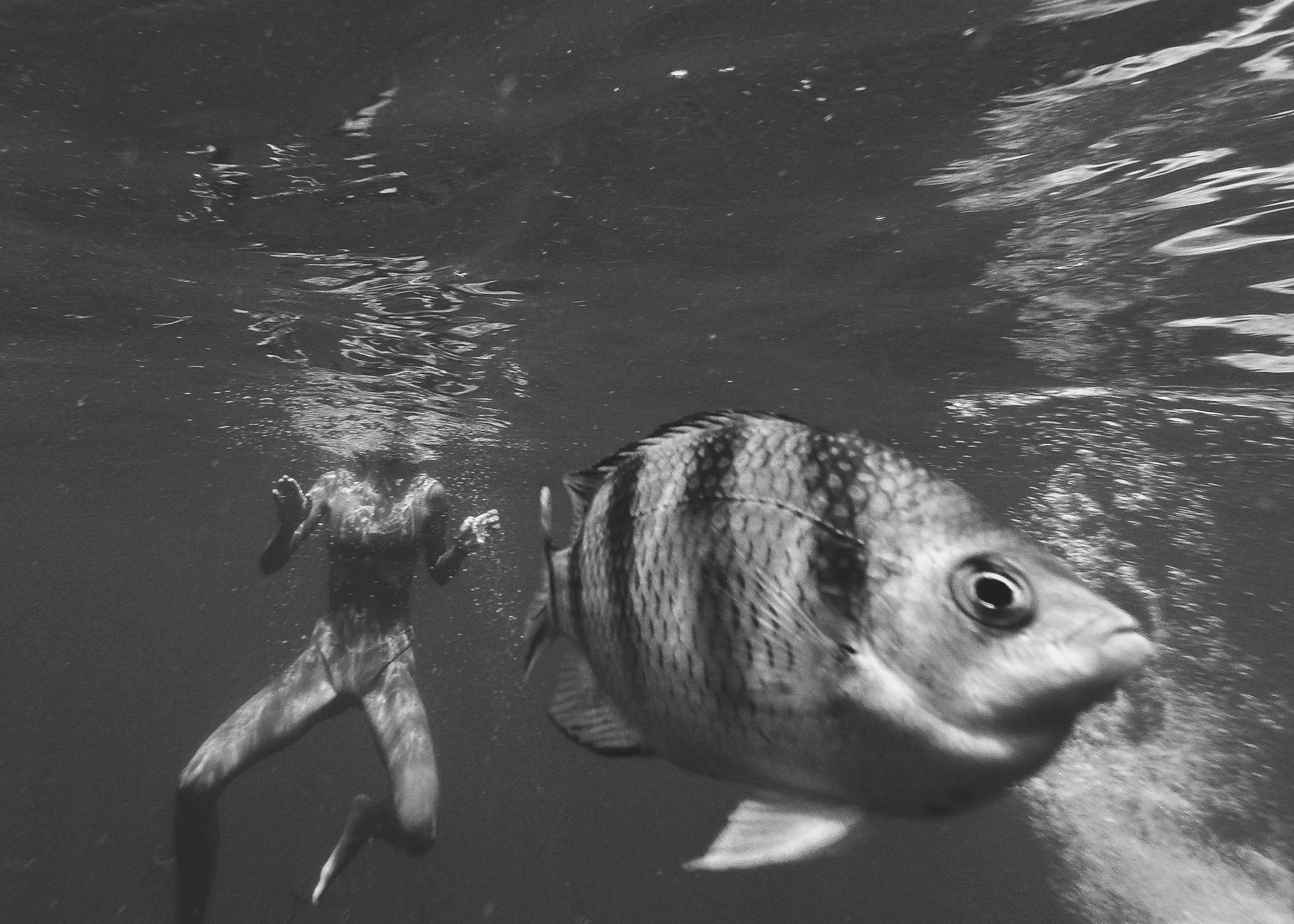Pulau Tioman, Malaysia