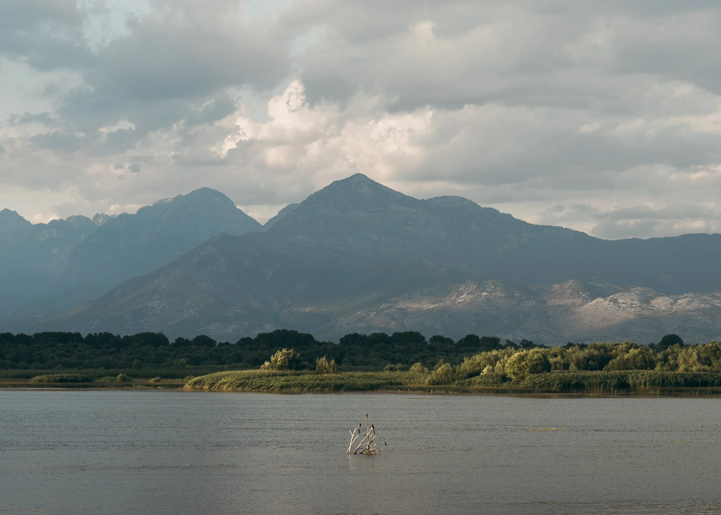 Lake Shkodër, Albania