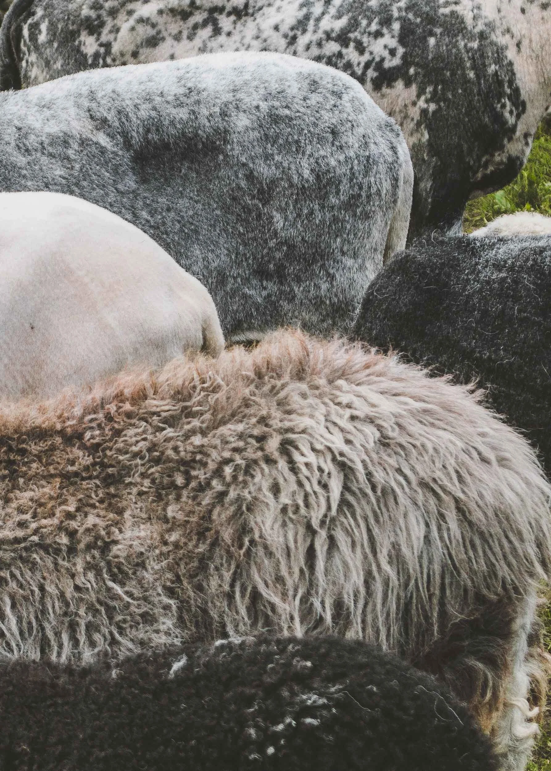 Coniston, Cumbria, England