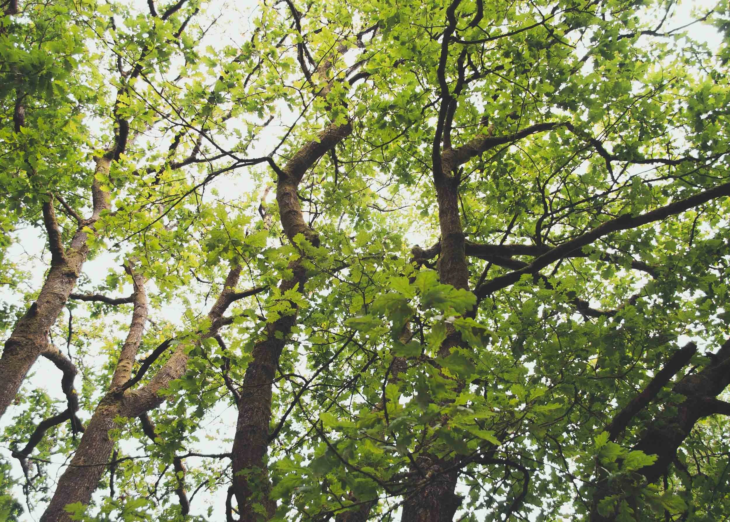 Coniston Water, Cumbria, England