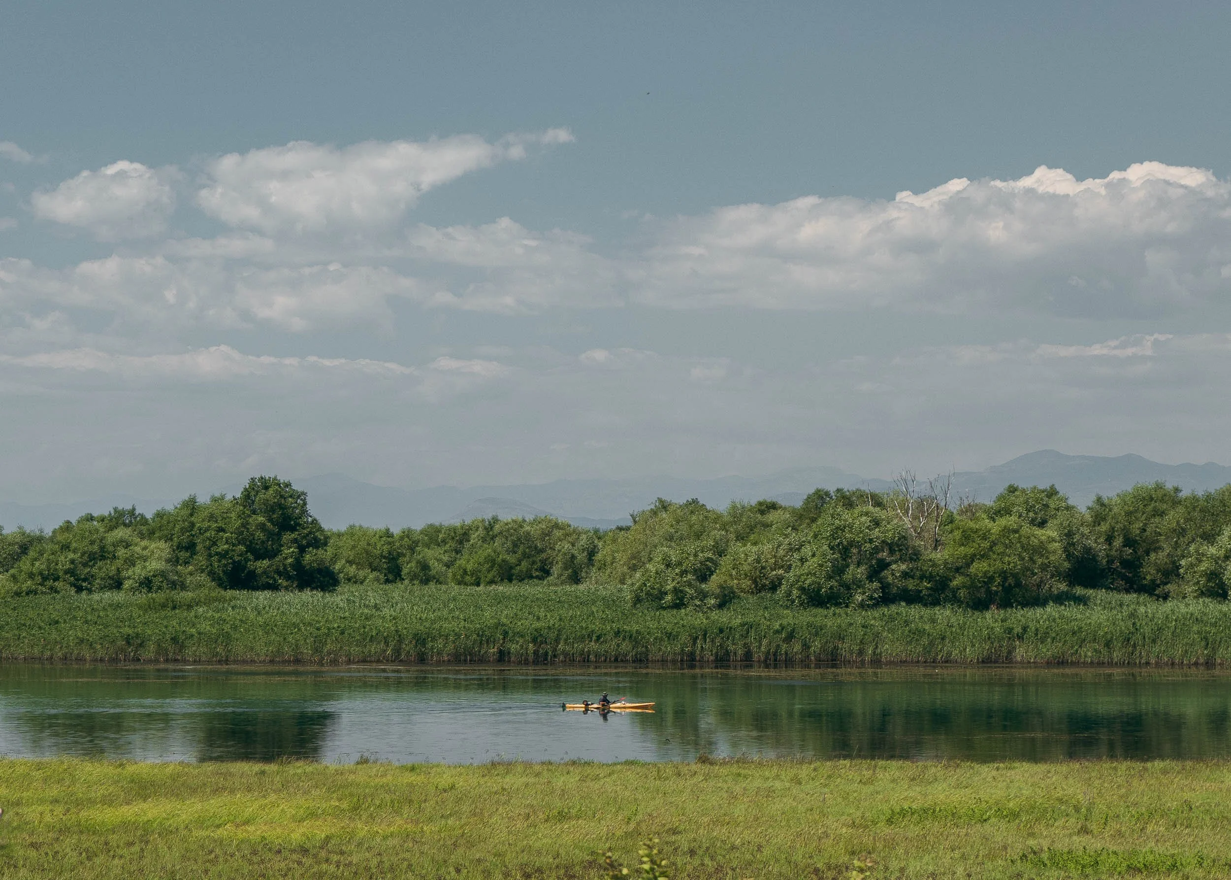 Lake Shkodër, Albania