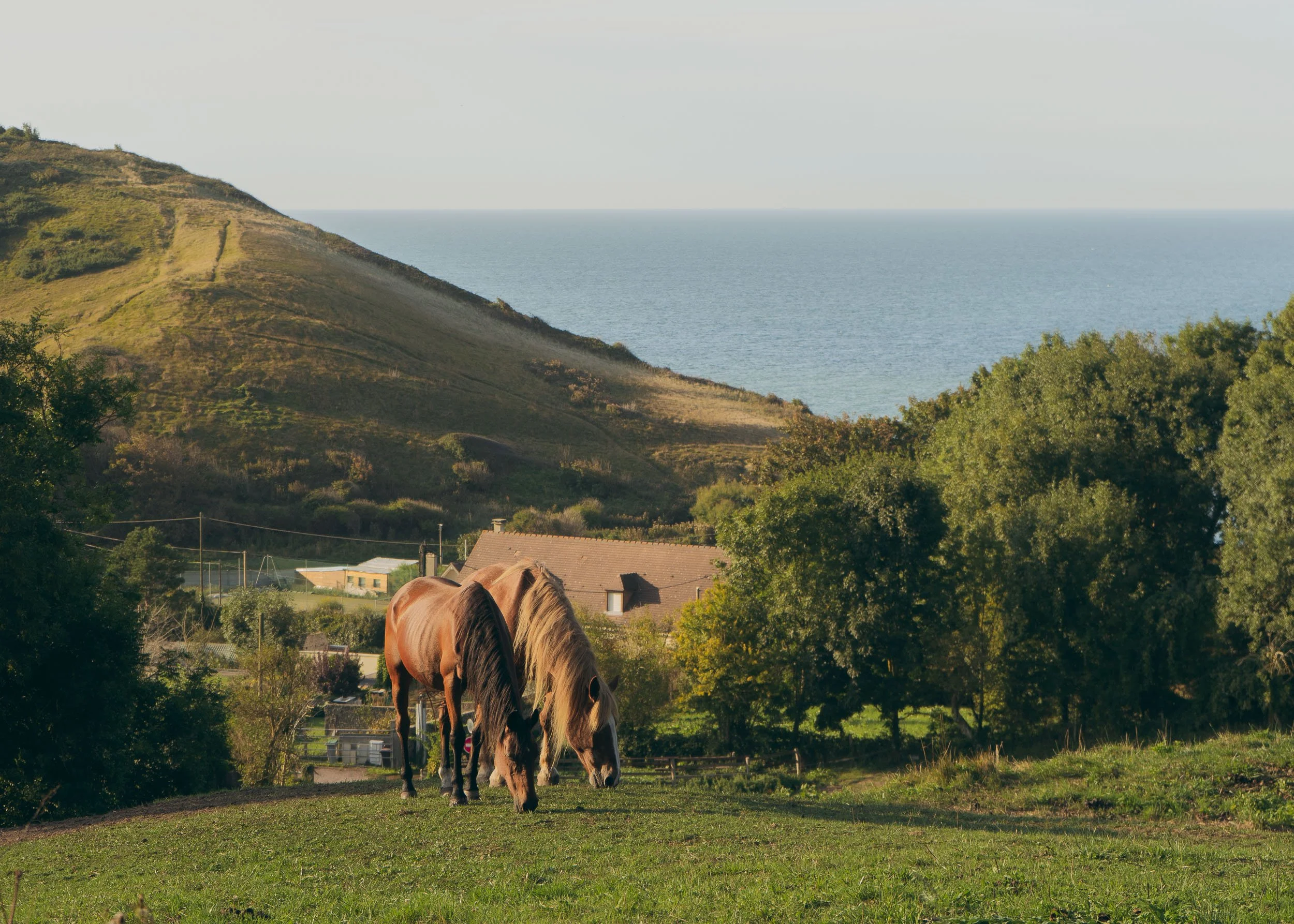 Colleville-sur-Mer, Normandy, France
