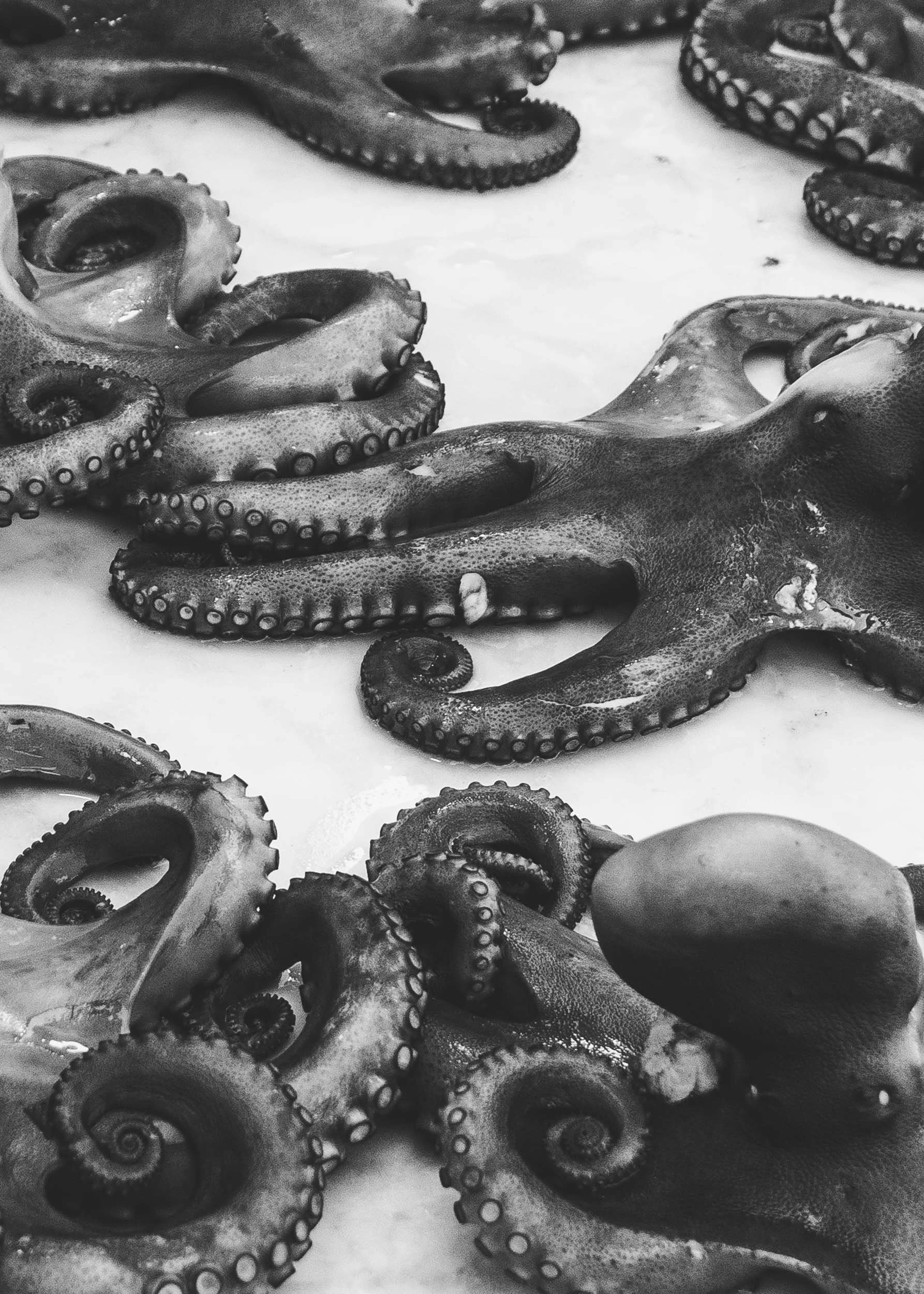 Palermo, Sicily, Italy