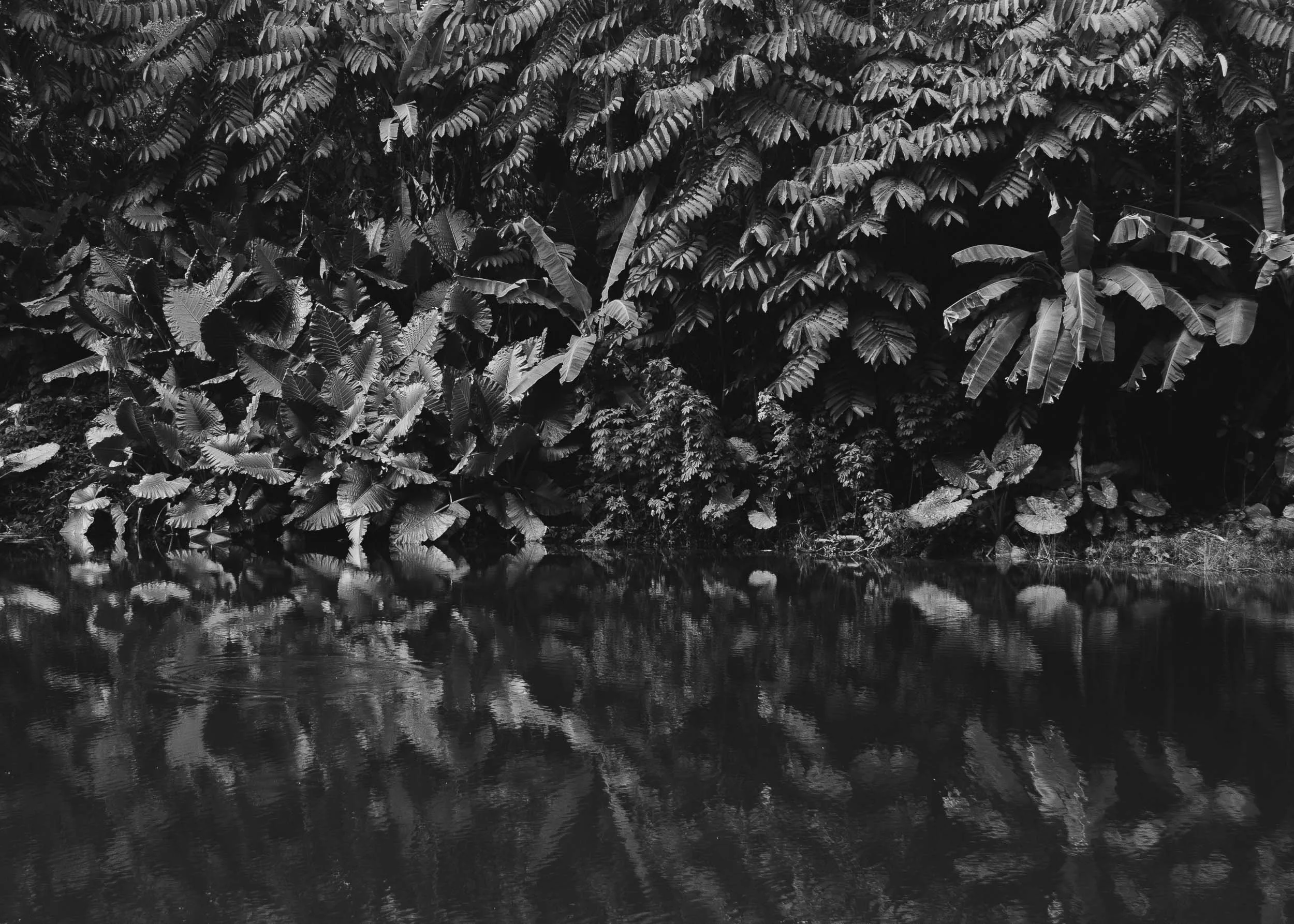 Botanic Gardens, Singapore