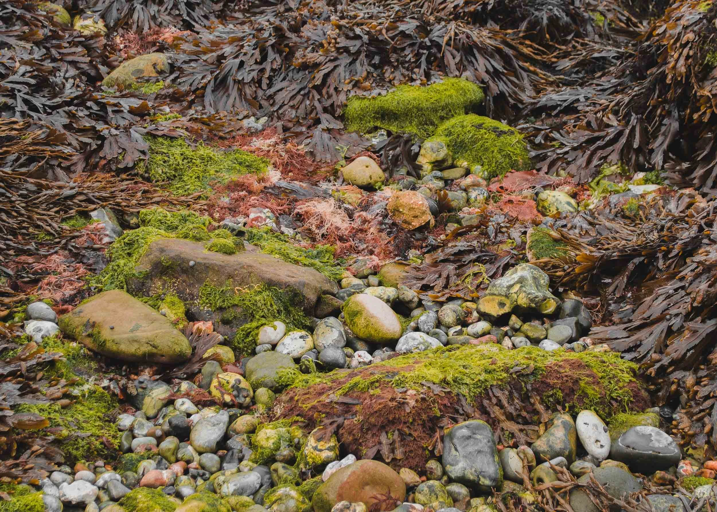 West Lulworth, Dorset, England