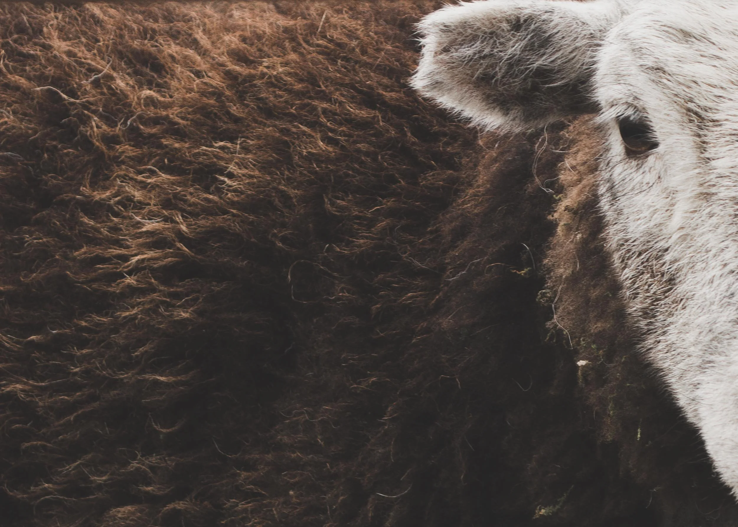 Coniston, Cumbria, England