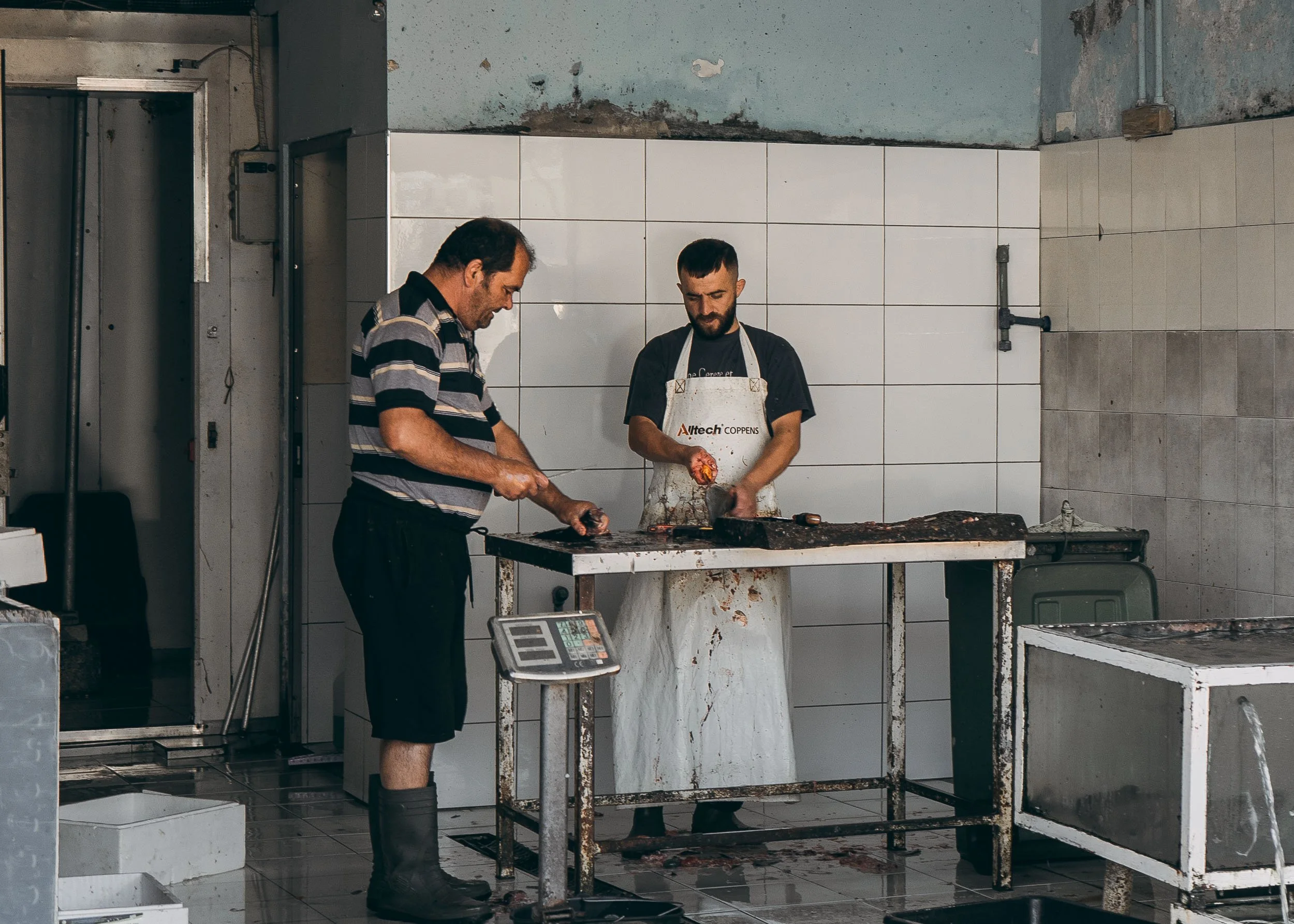 Fishmongers, Shkodër, Albania