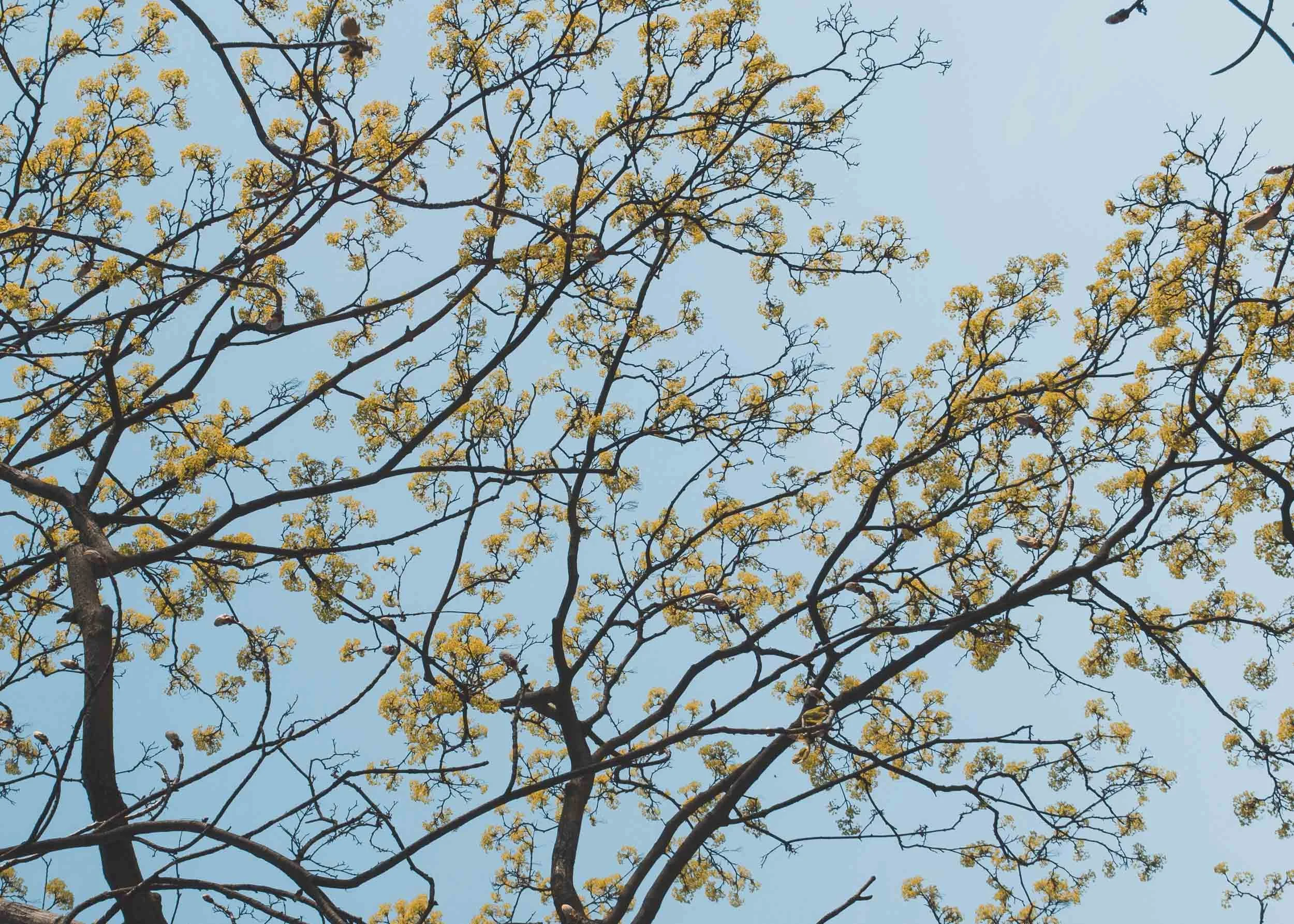 Prague, Czech Republic