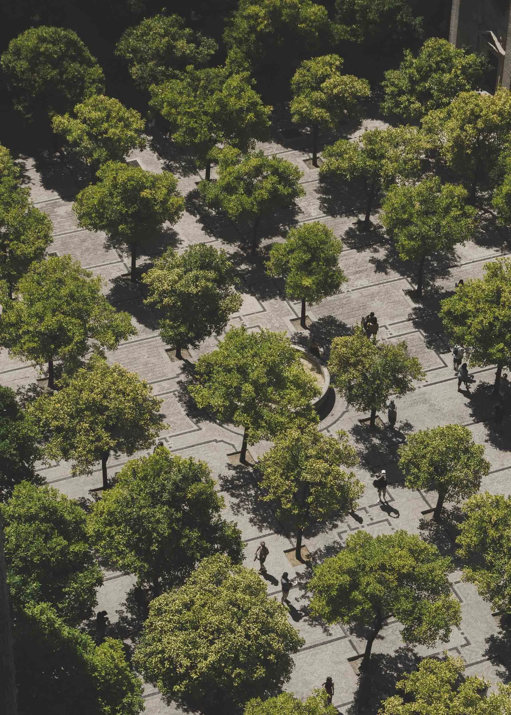 Sevilla, Andalucia, Spain