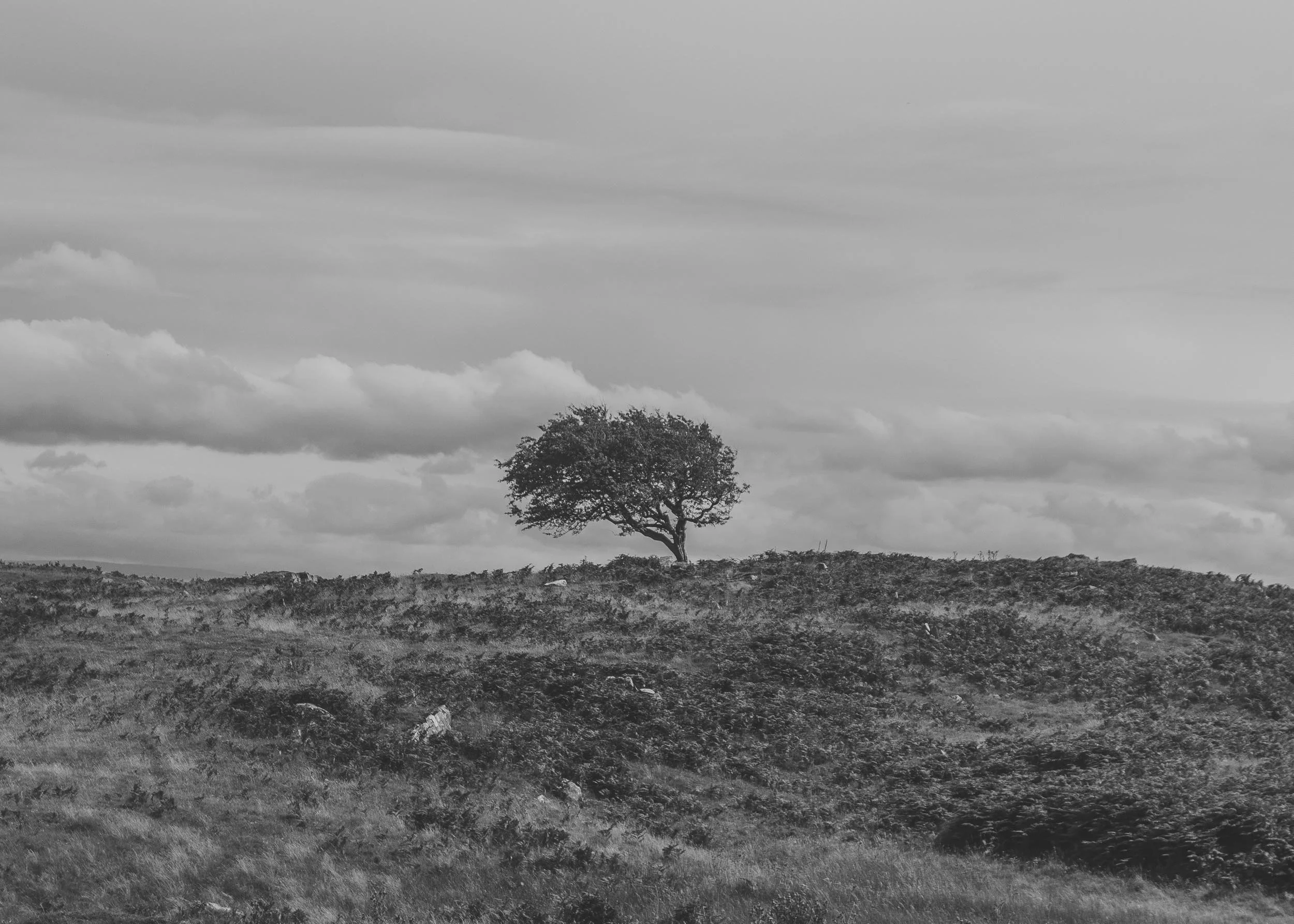 Windemere, Cumbria, England