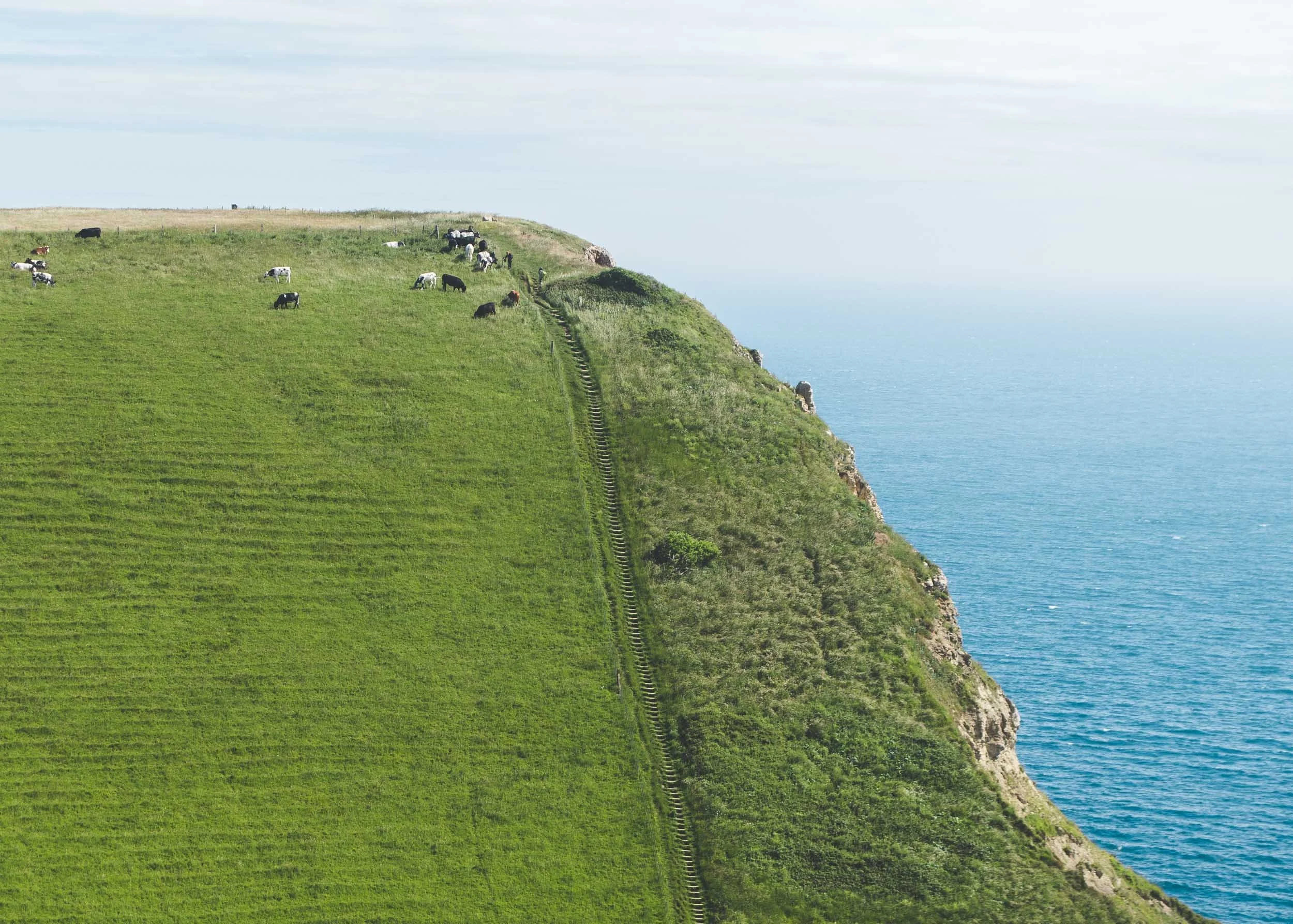 Steep pastures, Isle of Purbeck, Dorset, England
