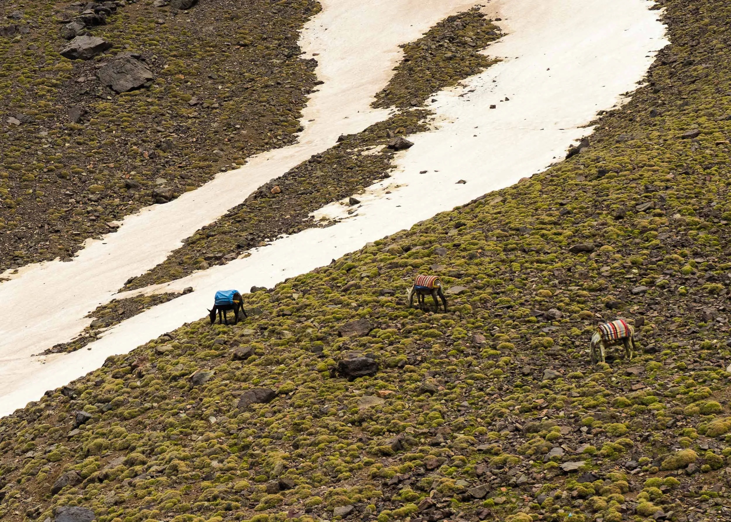 Mount Toubkal, Morocco