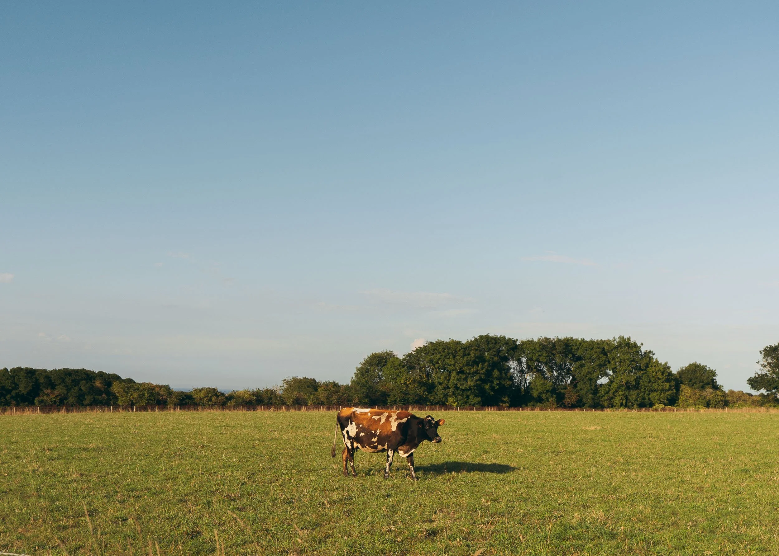 Colleville-sur-Mer, Normandy, France